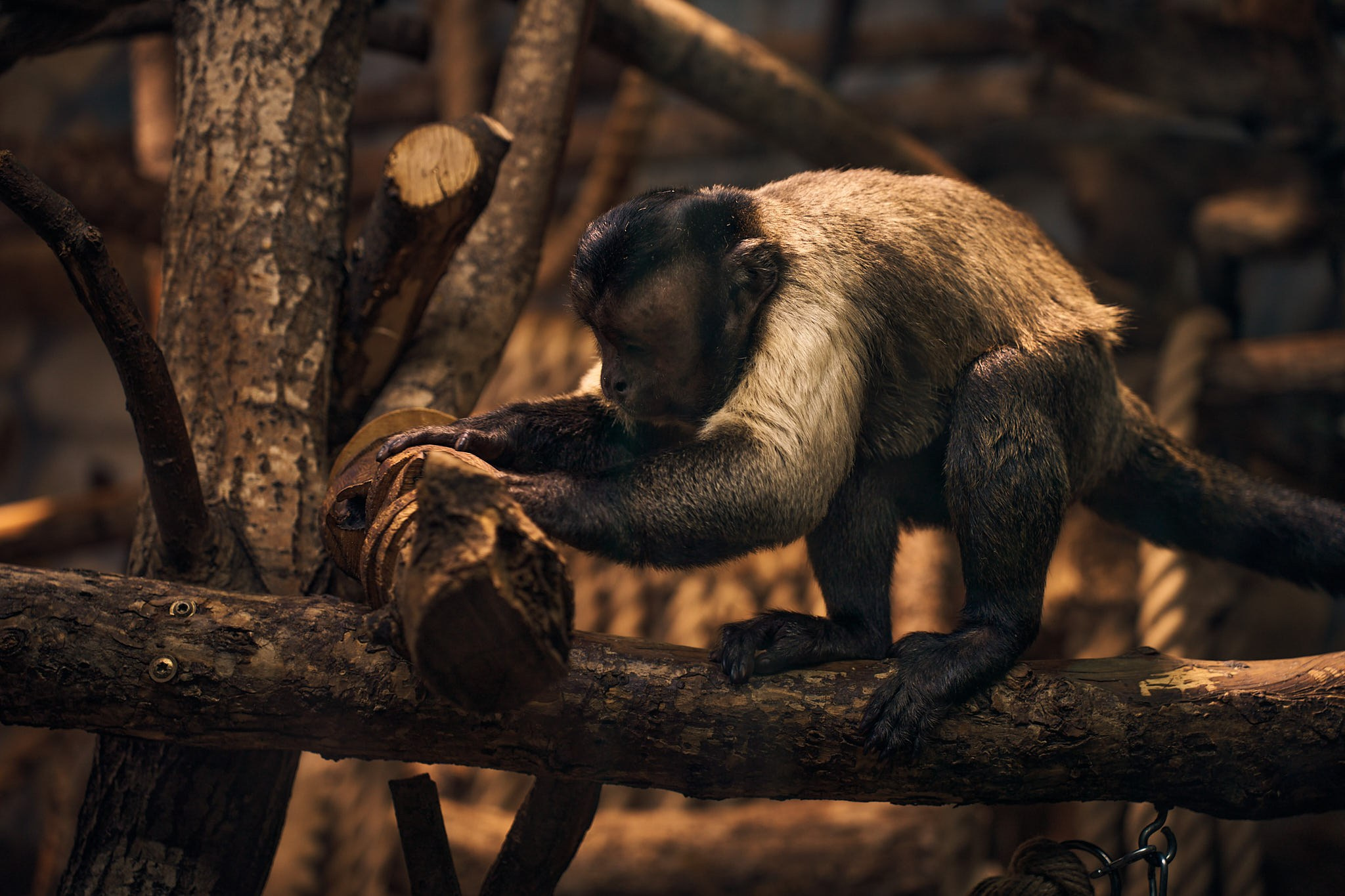 ZOO. ФОТОГРАФ ЕКАТЕРИНБУРГ