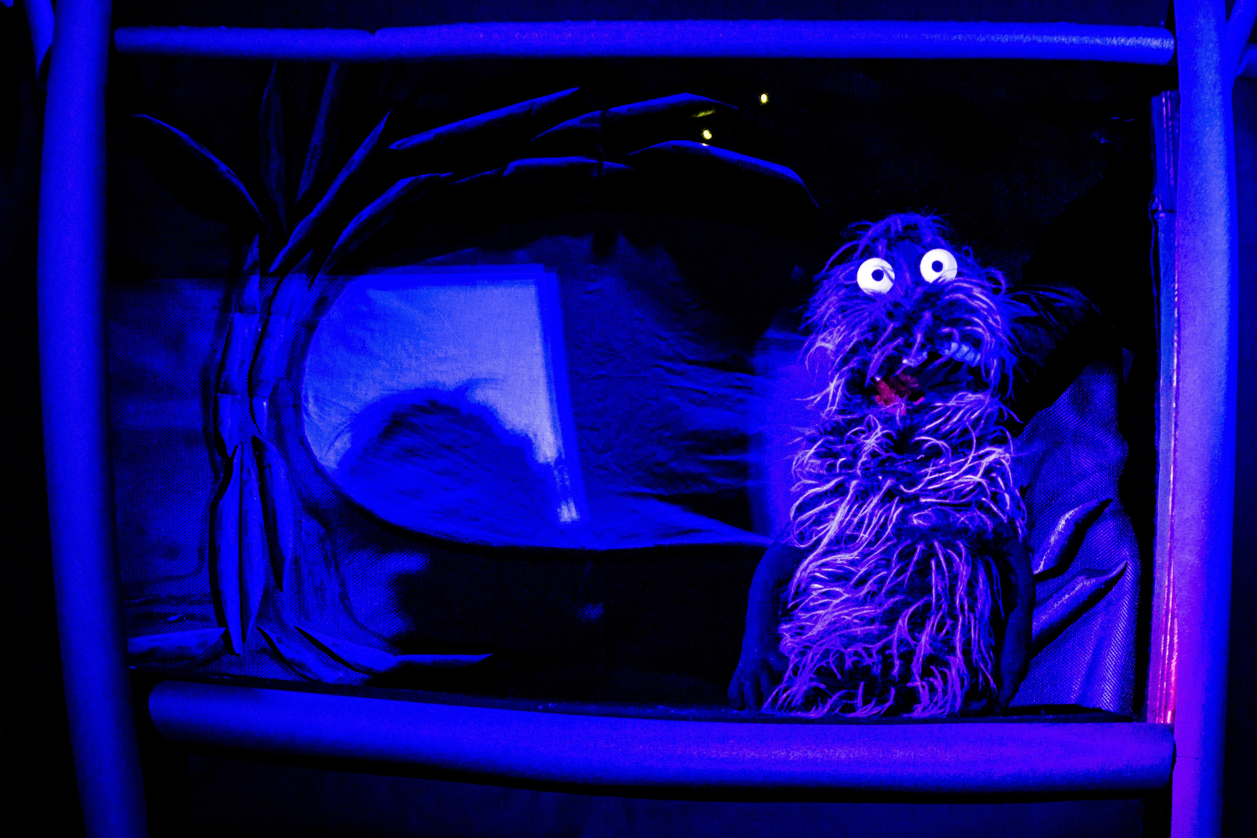 Мумитроли и большое наводнение спектакль театра Саквояж. Фотограф в Сочи Юрий Шептаев