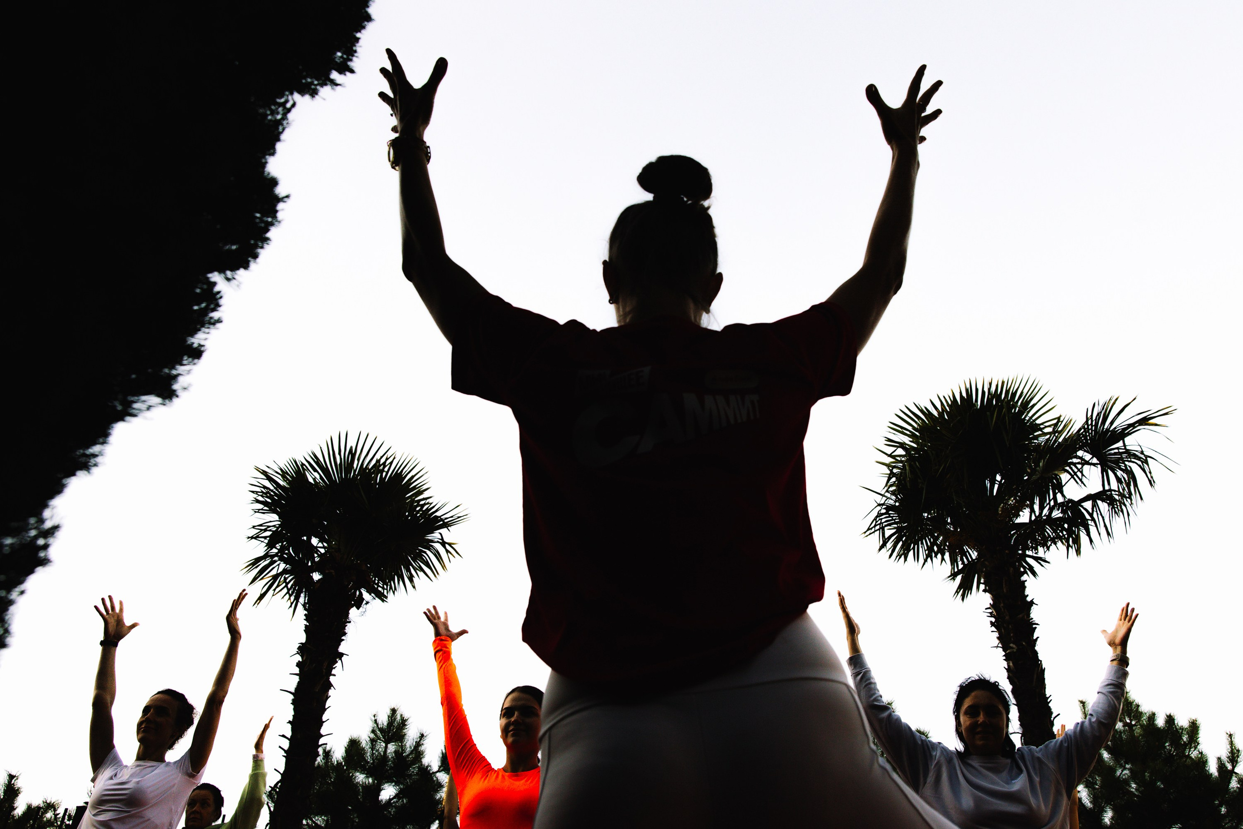 Силуэт: Девушка с поднятыми вверх руками на фоне пальм, кадр в стиле «свобода и энергия».