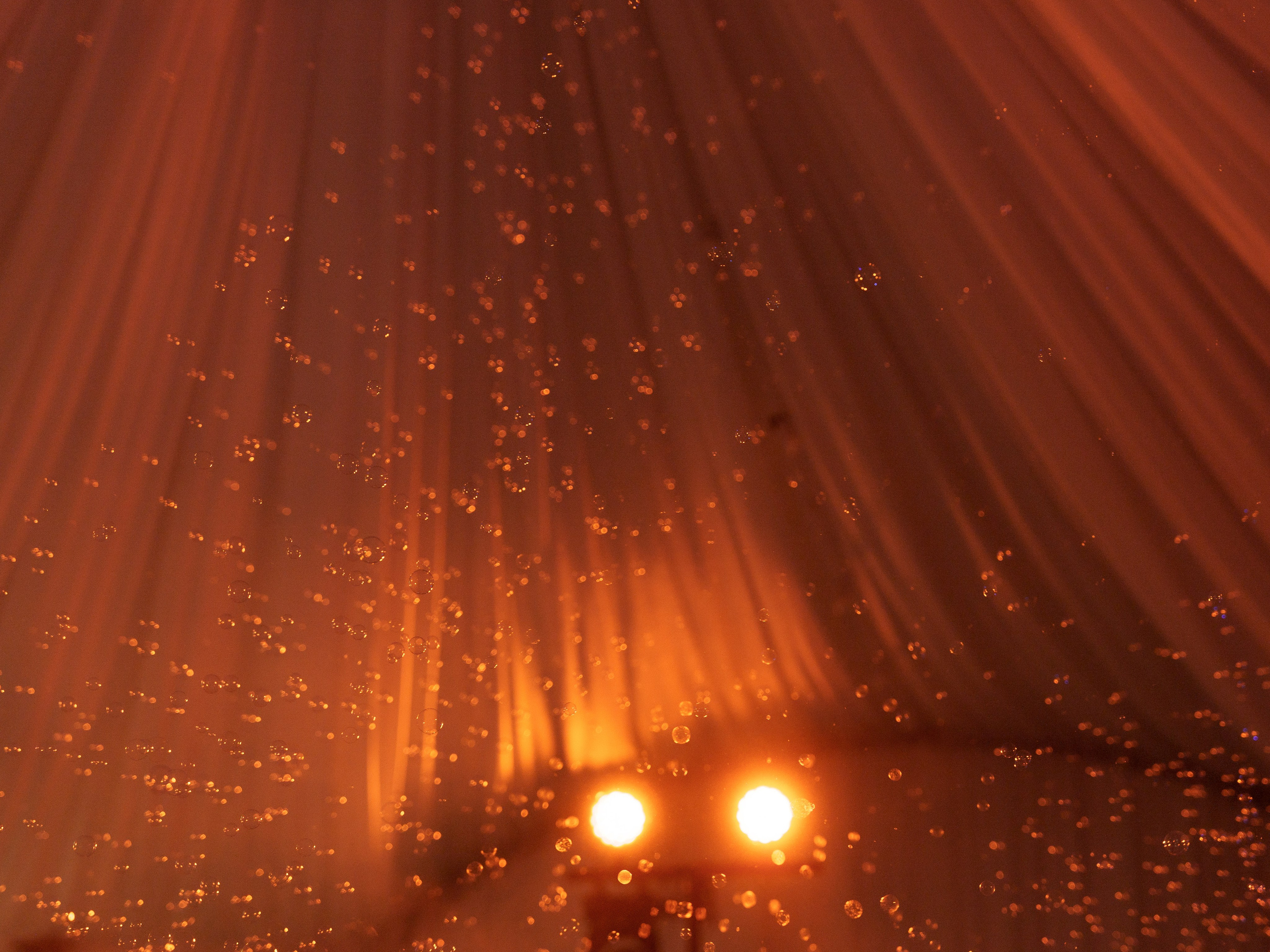 E&V. Свадебный и семейный фотограф Диана Лбова. Чебоксары