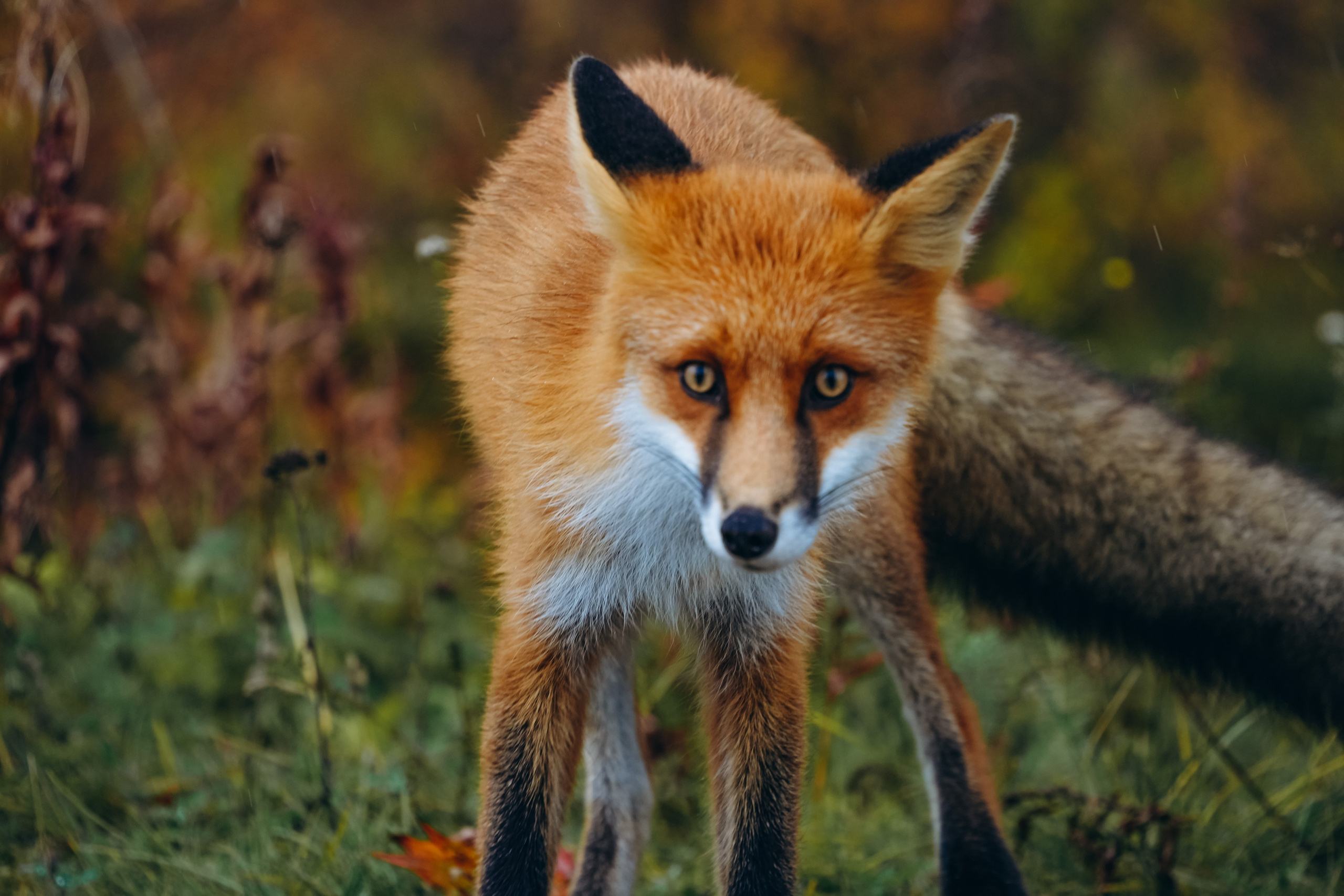 СЕВЕР. Event фотограф Степанова Александра