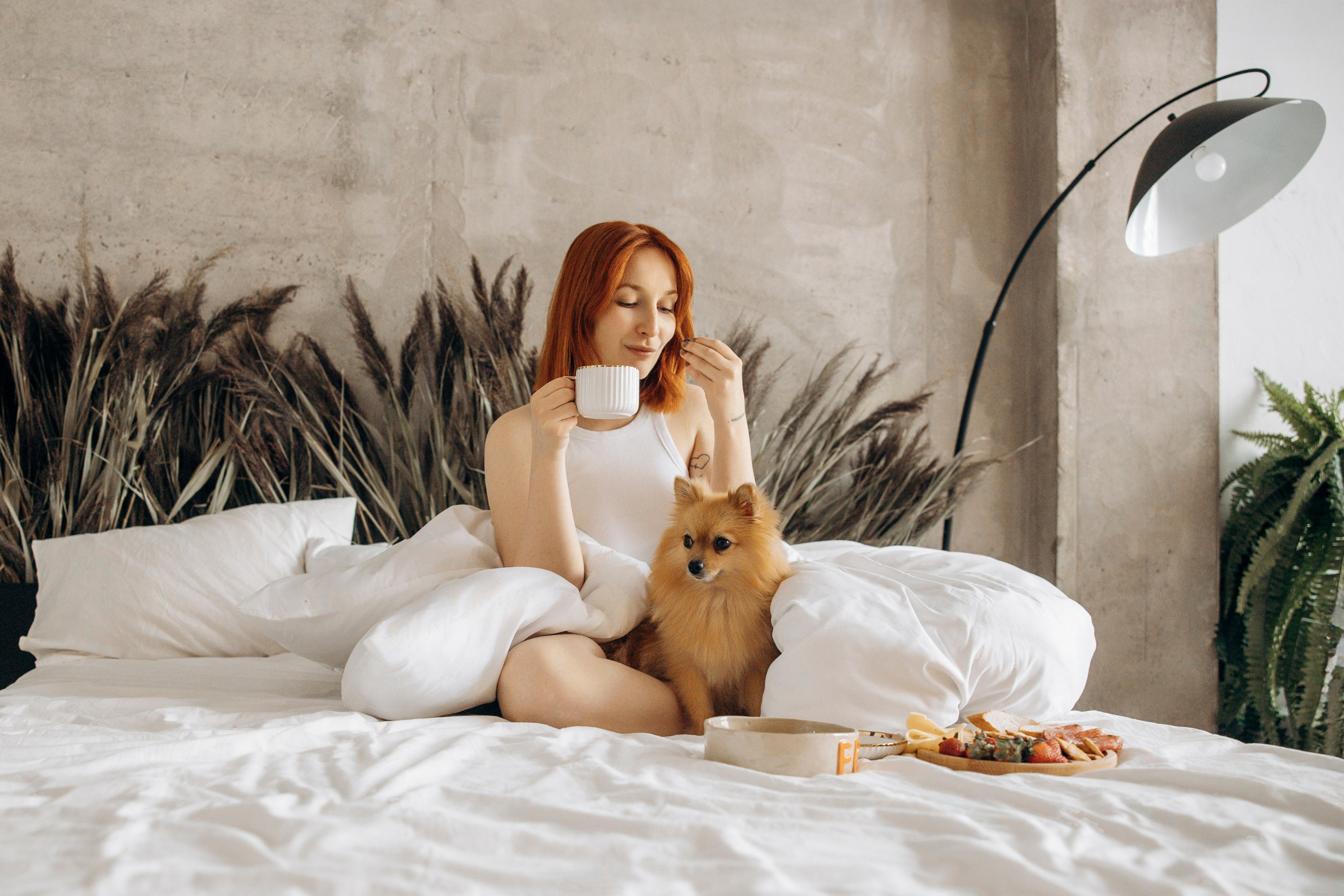 Съемка в студии с собакой. Анастасия Белаш