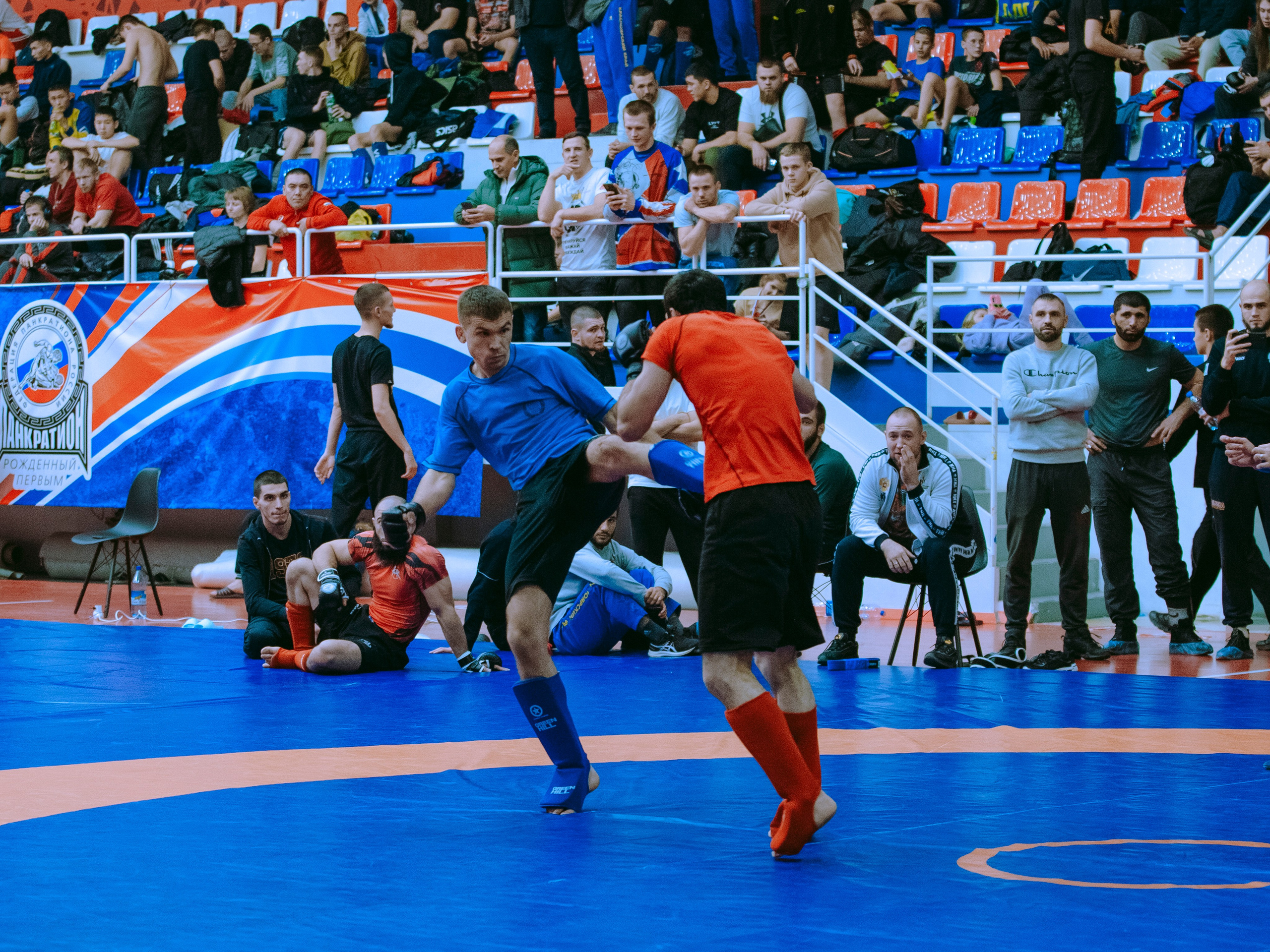 Кубок России по спортивной борьбе панкратион `23. Портретный фотограф в Москве Дарья Цезария