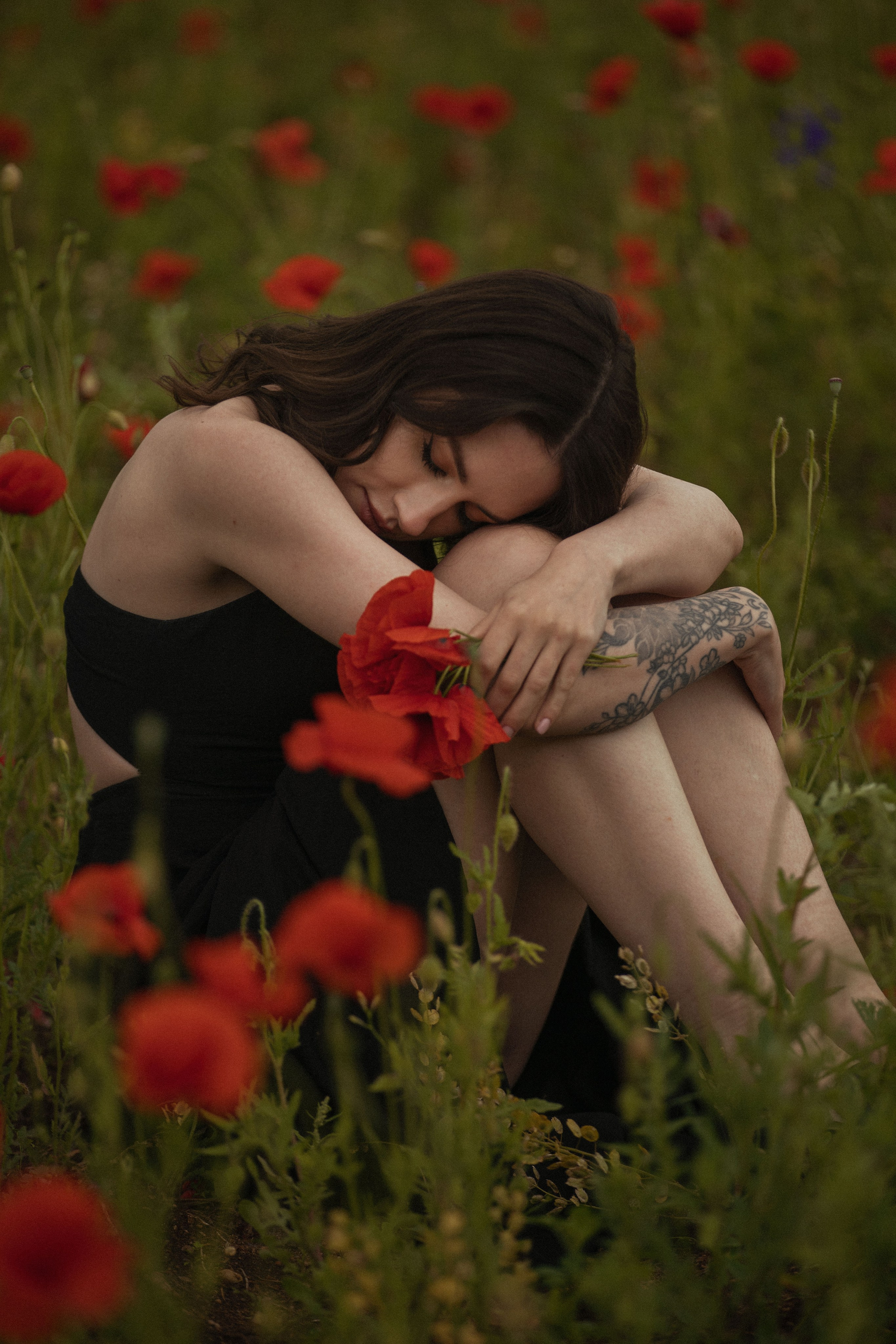 Маковое поле. Фотохудожник из города Пскова