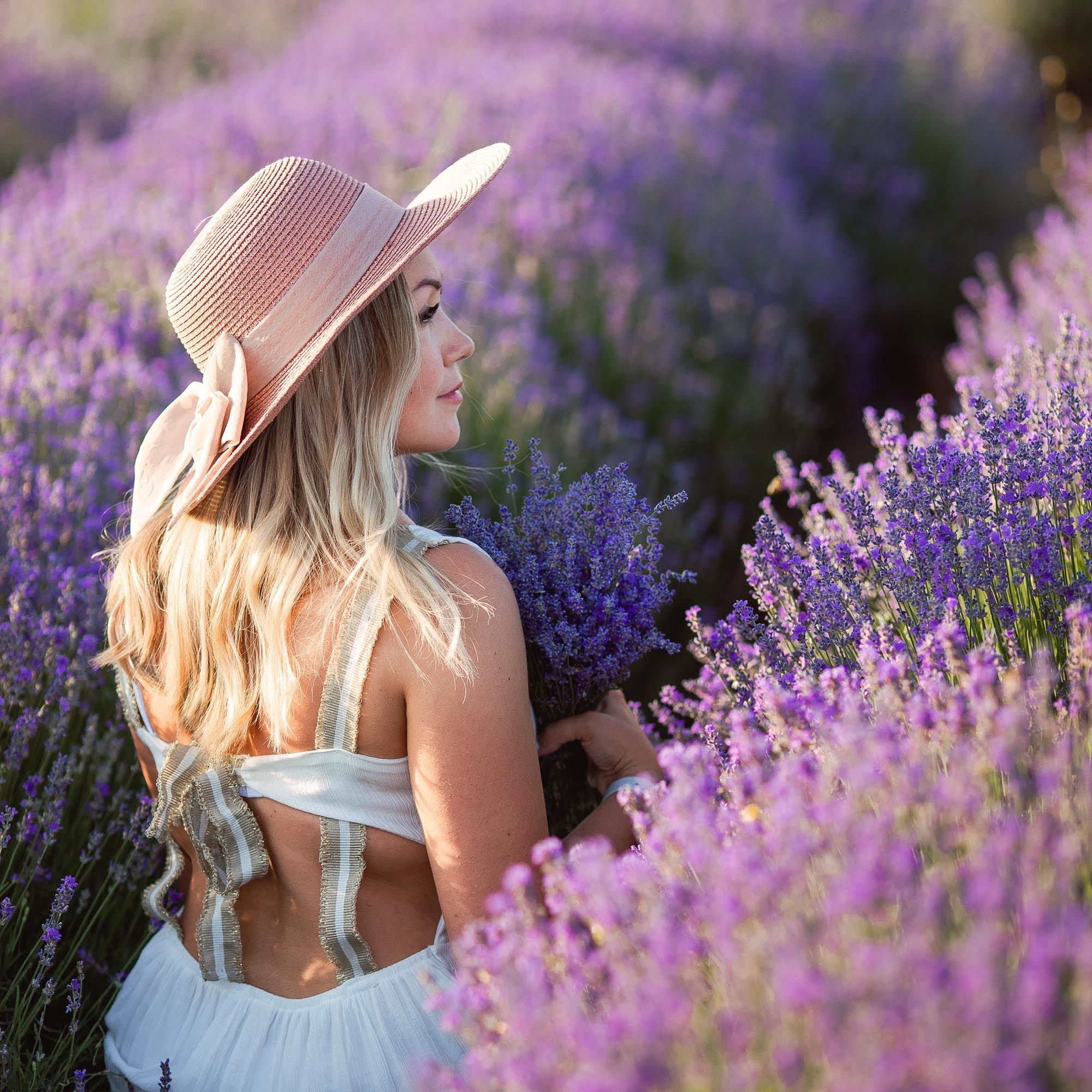 Лаванда. Лариса Богомолова. Фотограф. Видеограф. Болгария