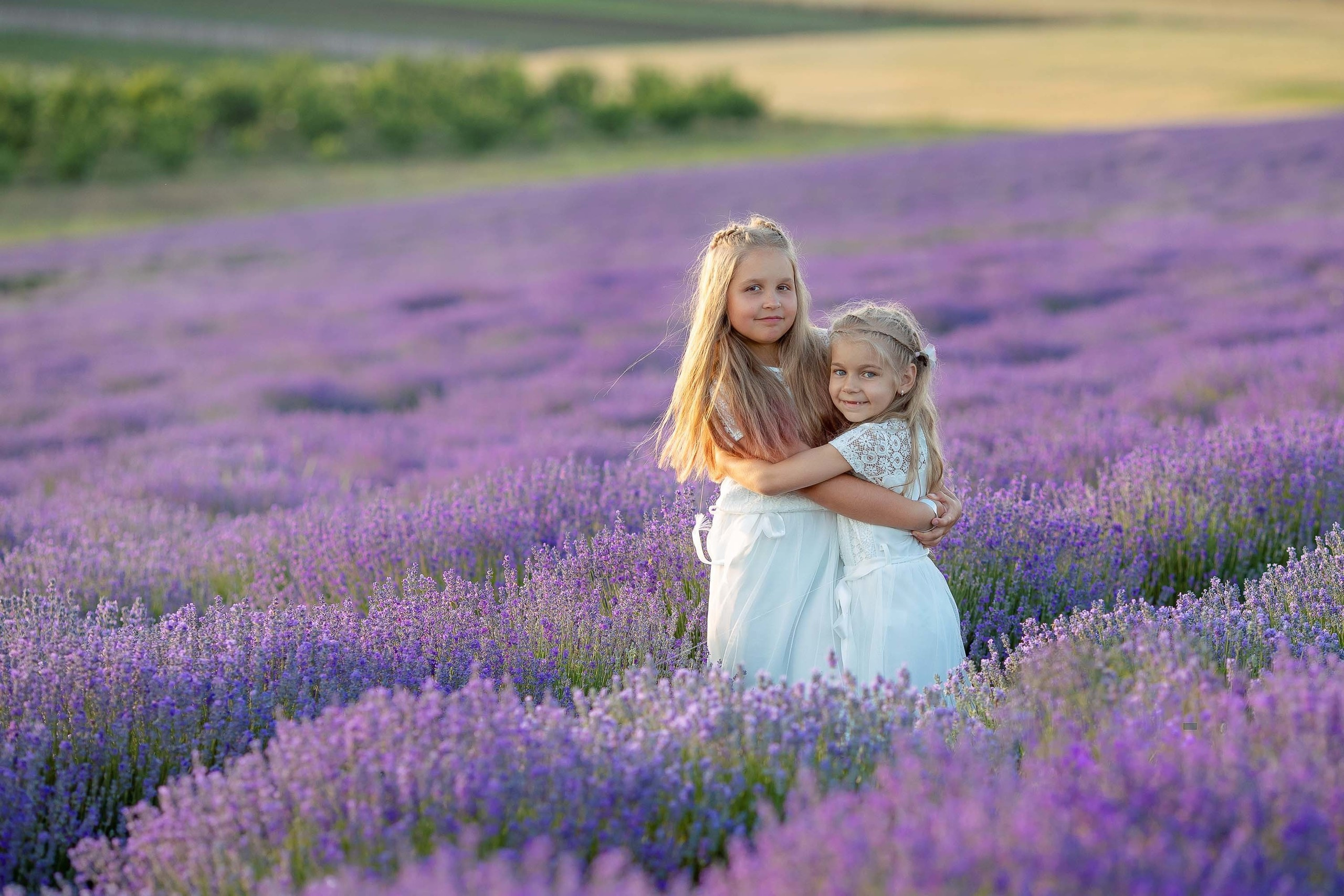 Лаванда. Лариса Богомолова. Фотограф. Видеограф. Болгария