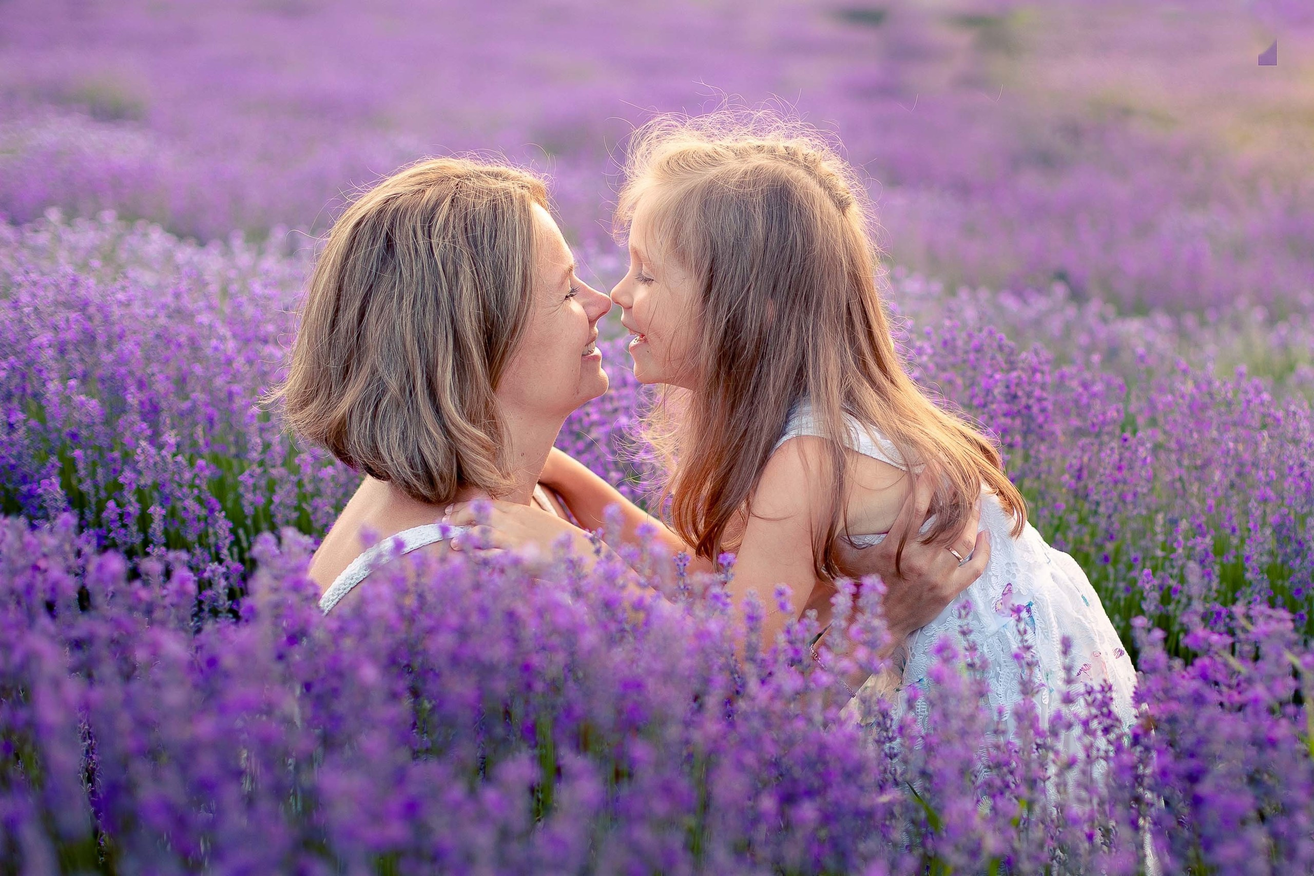 Лаванда. Лариса Богомолова. Фотограф. Видеограф. Болгария