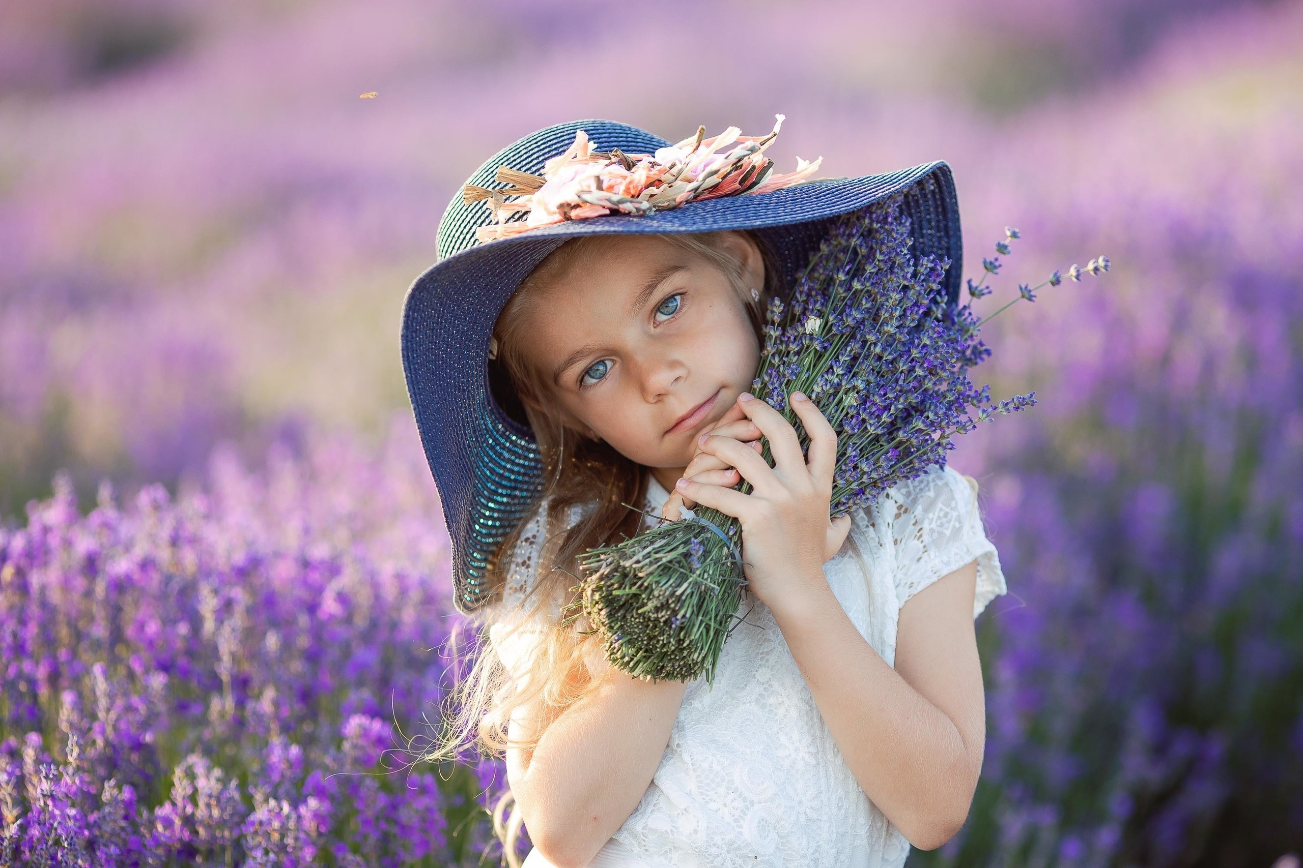 Лаванда. Лариса Богомолова. Фотограф. Видеограф. Болгария