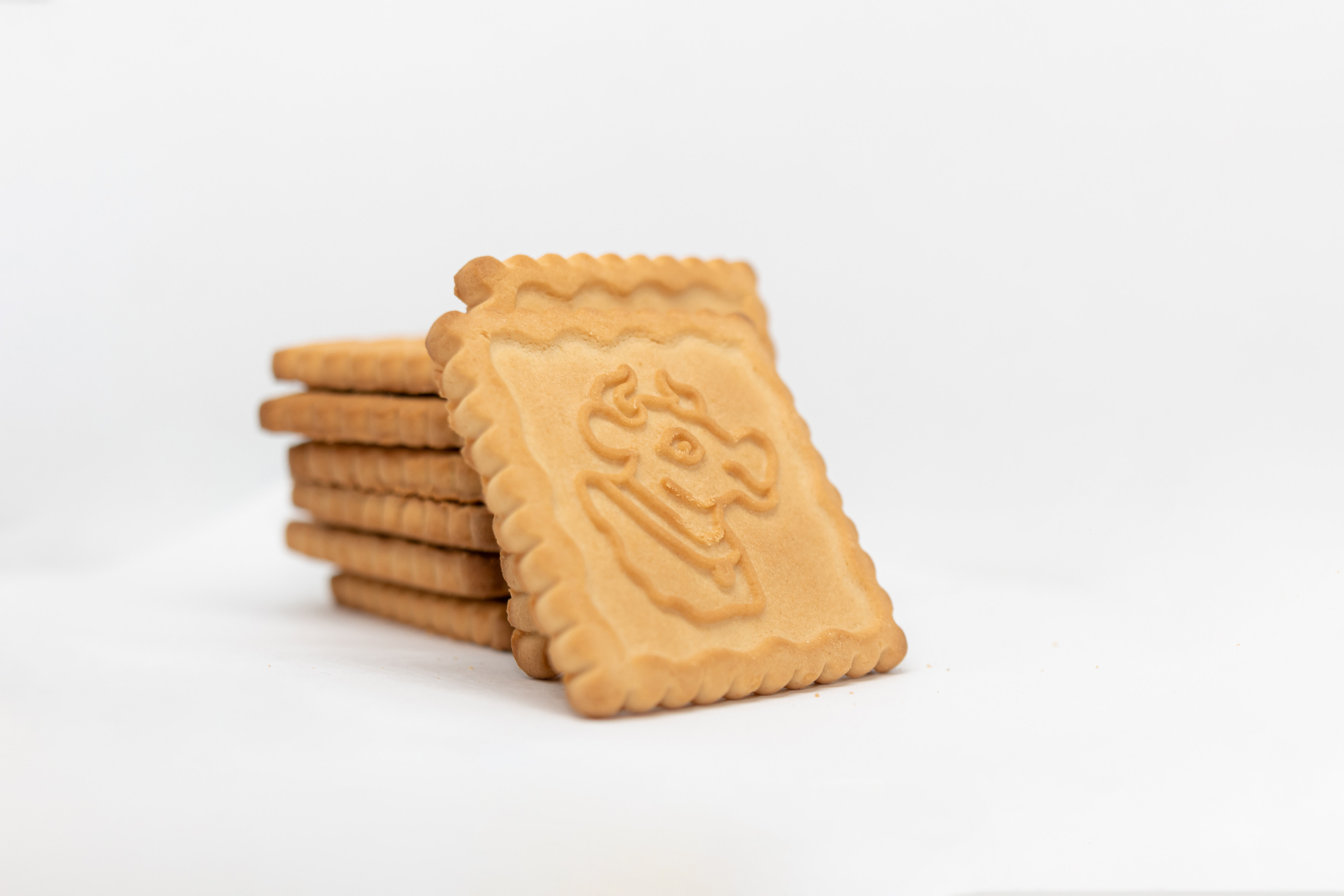 Каталожная фотосъемка без ретуши. Семейный фотограф в Минске Приболовец Светлана