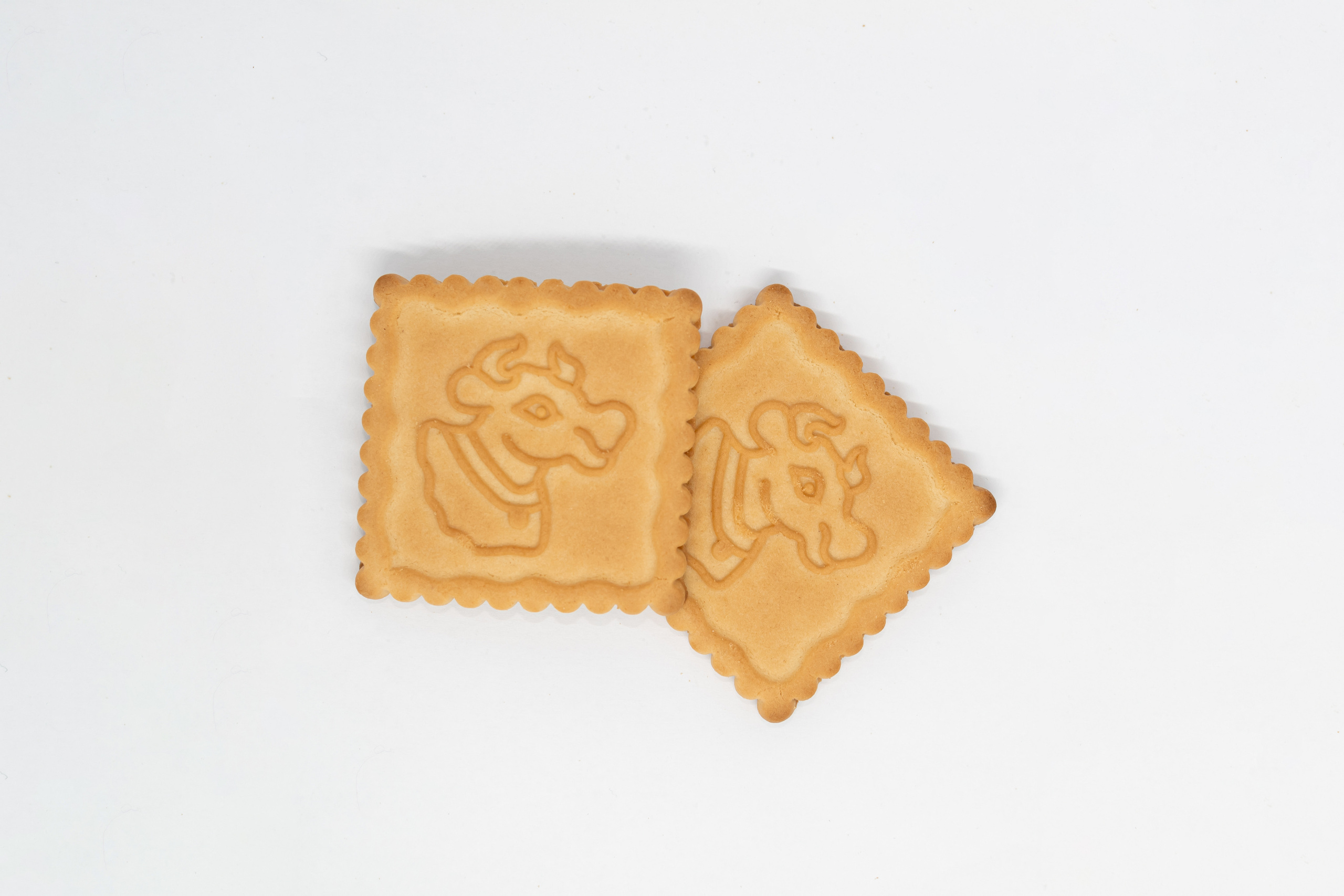 Каталожная фотосъемка без ретуши. Семейный фотограф в Минске Приболовец Светлана