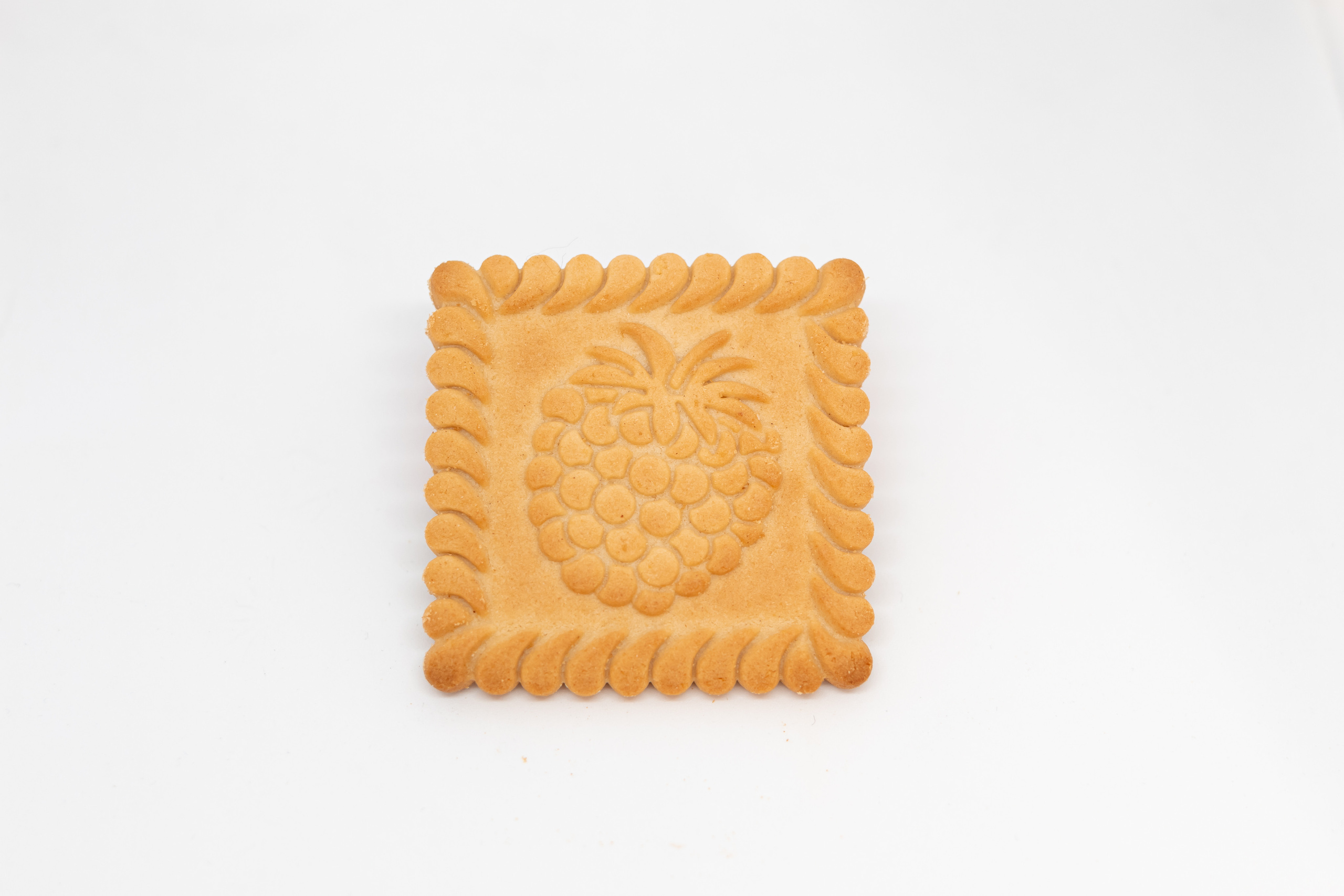 Каталожная фотосъемка без ретуши. Семейный фотограф в Минске Приболовец Светлана