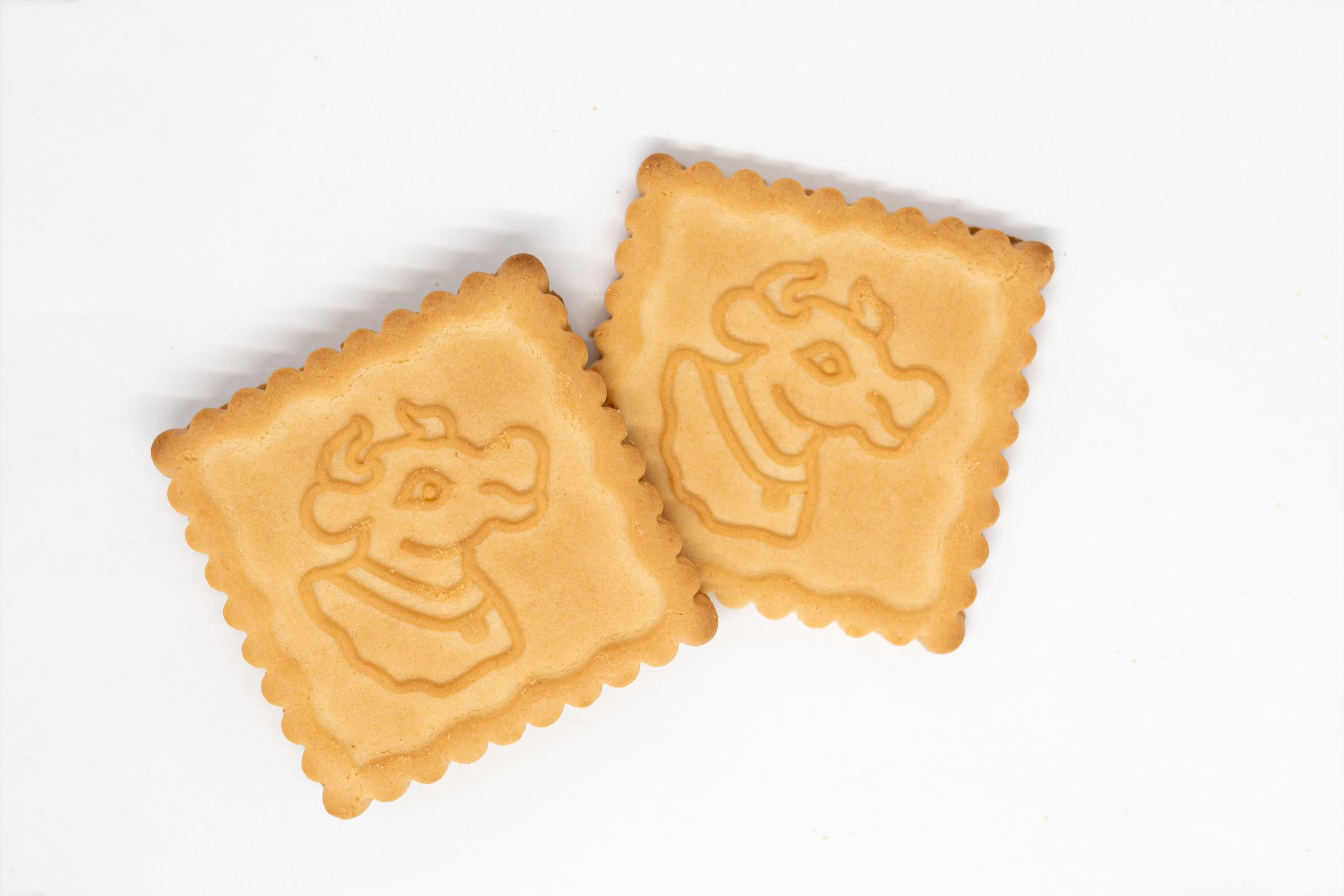 Каталожная фотосъемка без ретуши. Семейный фотограф в Минске Приболовец Светлана