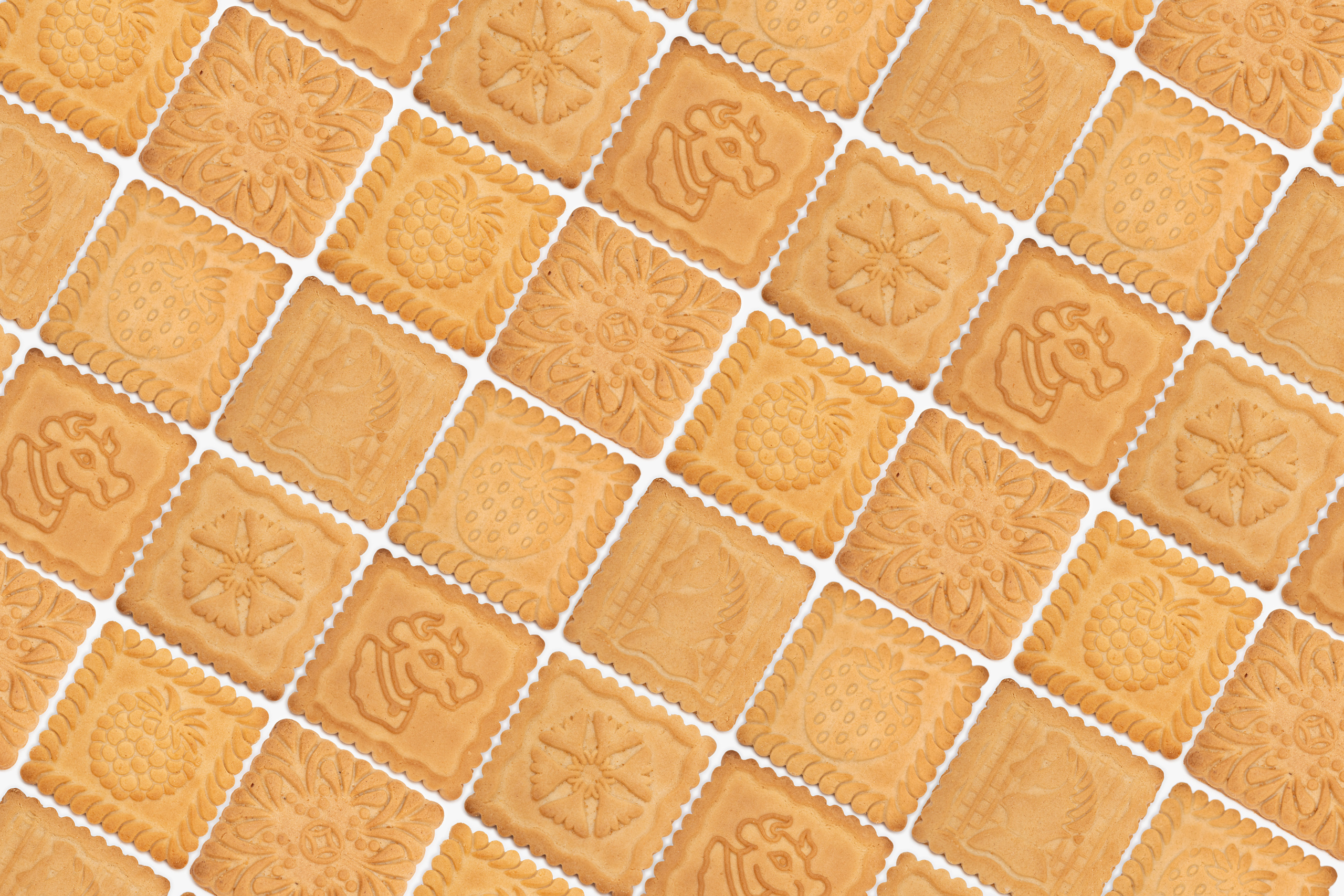 Каталожная фотосъемка без ретуши. Семейный фотограф в Минске Приболовец Светлана