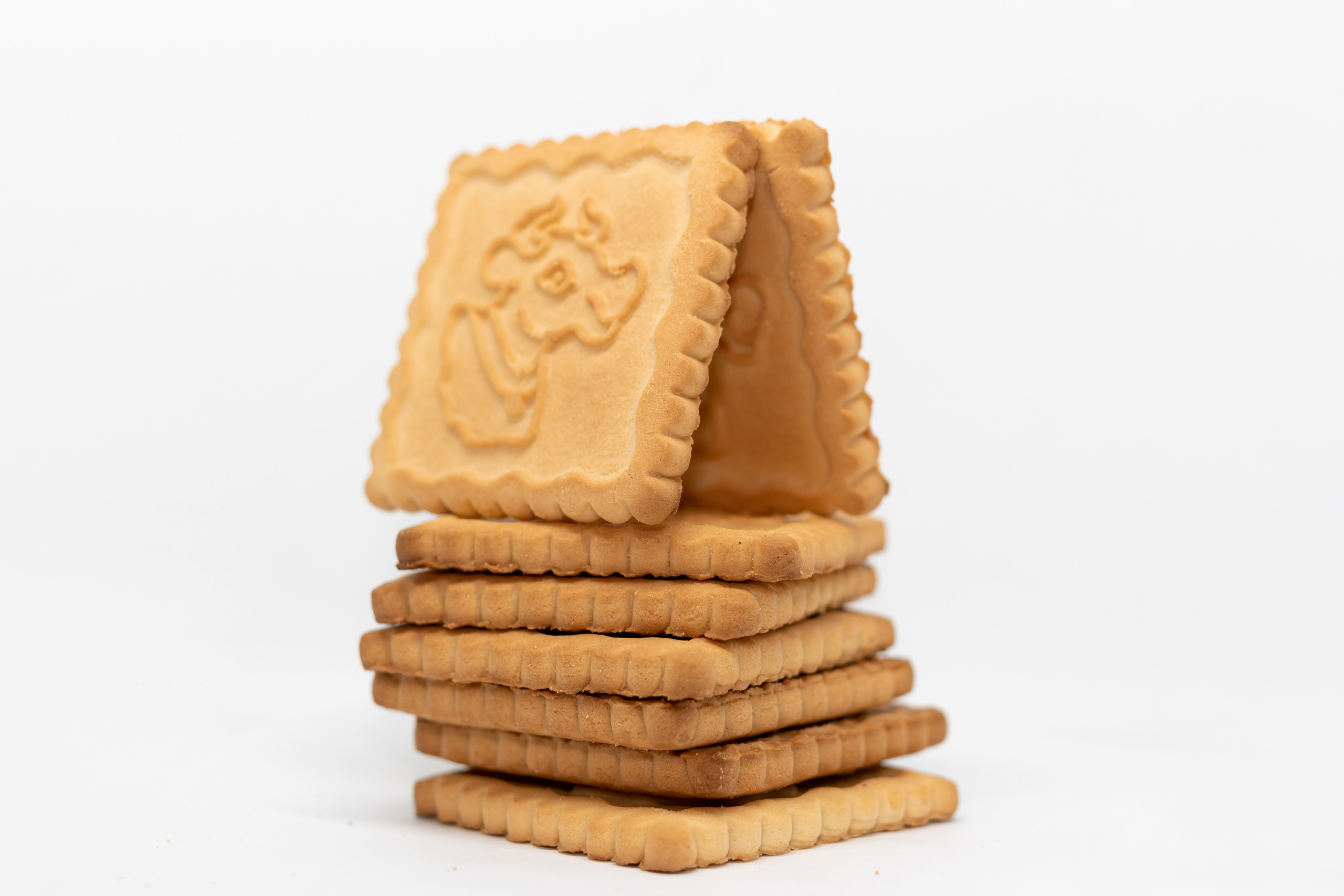 Каталожная фотосъемка без ретуши. Семейный фотограф в Минске Приболовец Светлана