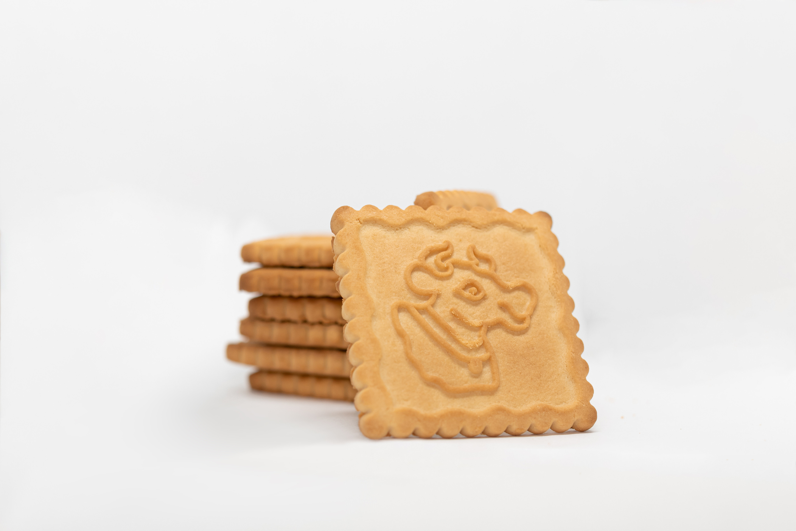 Каталожная фотосъемка без ретуши. Семейный фотограф в Минске Приболовец Светлана