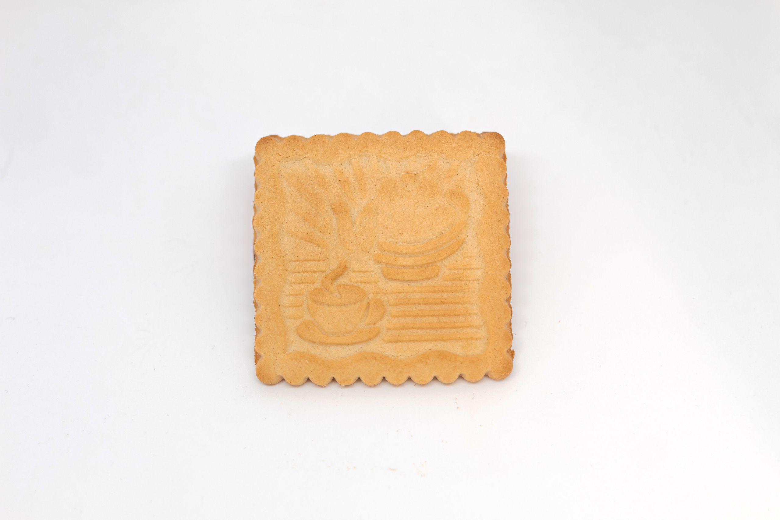 Каталожная фотосъемка без ретуши. Семейный фотограф в Минске Приболовец Светлана