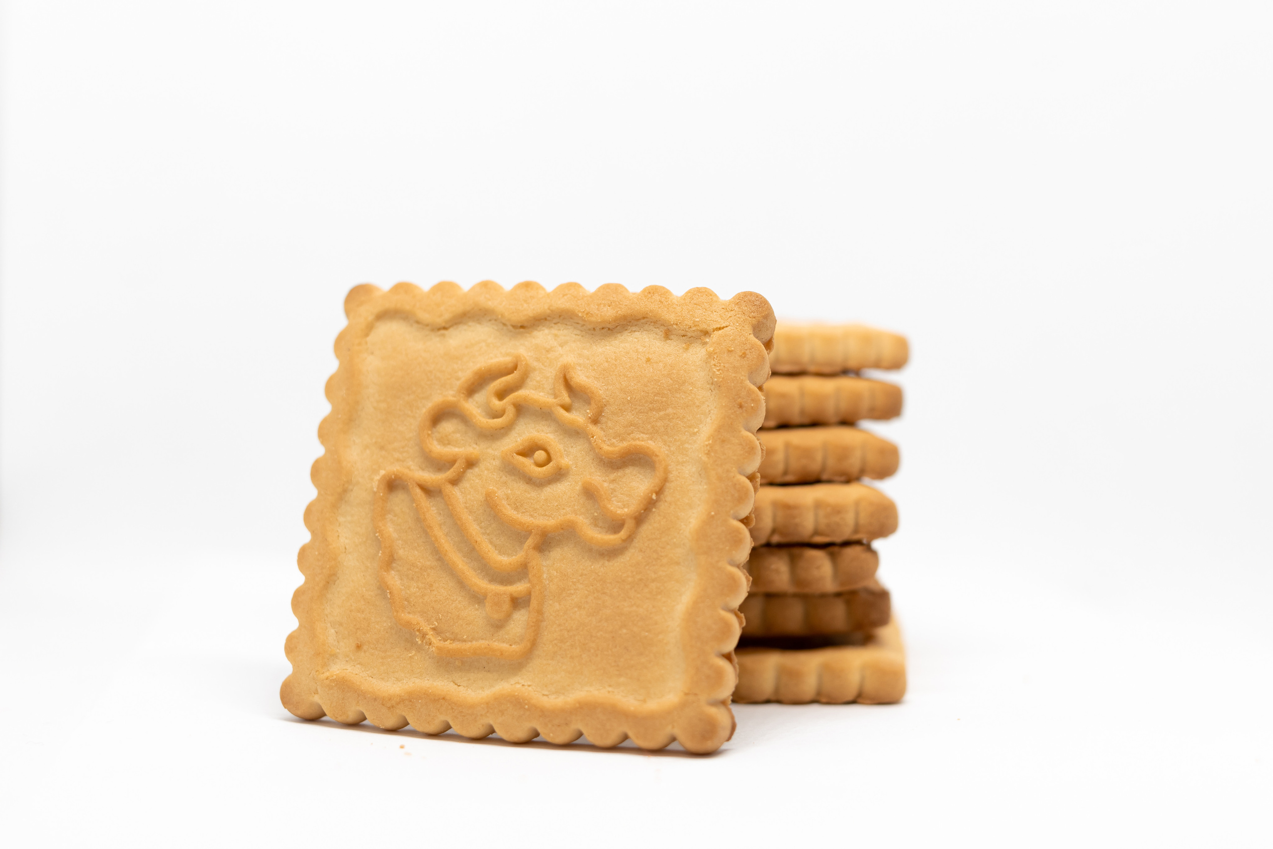 Каталожная фотосъемка без ретуши. Семейный фотограф в Минске Приболовец Светлана