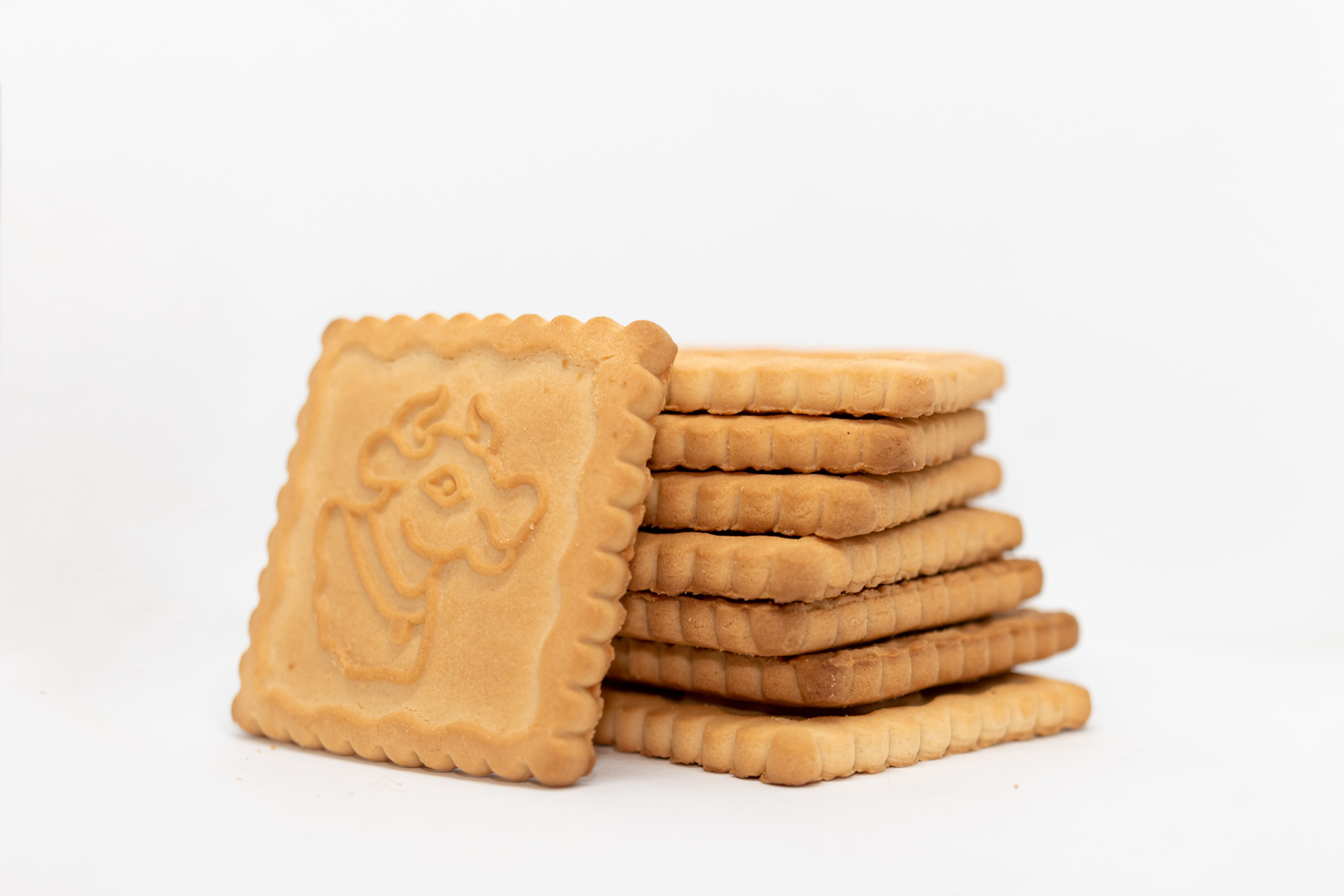 Каталожная фотосъемка без ретуши. Семейный фотограф в Минске Приболовец Светлана