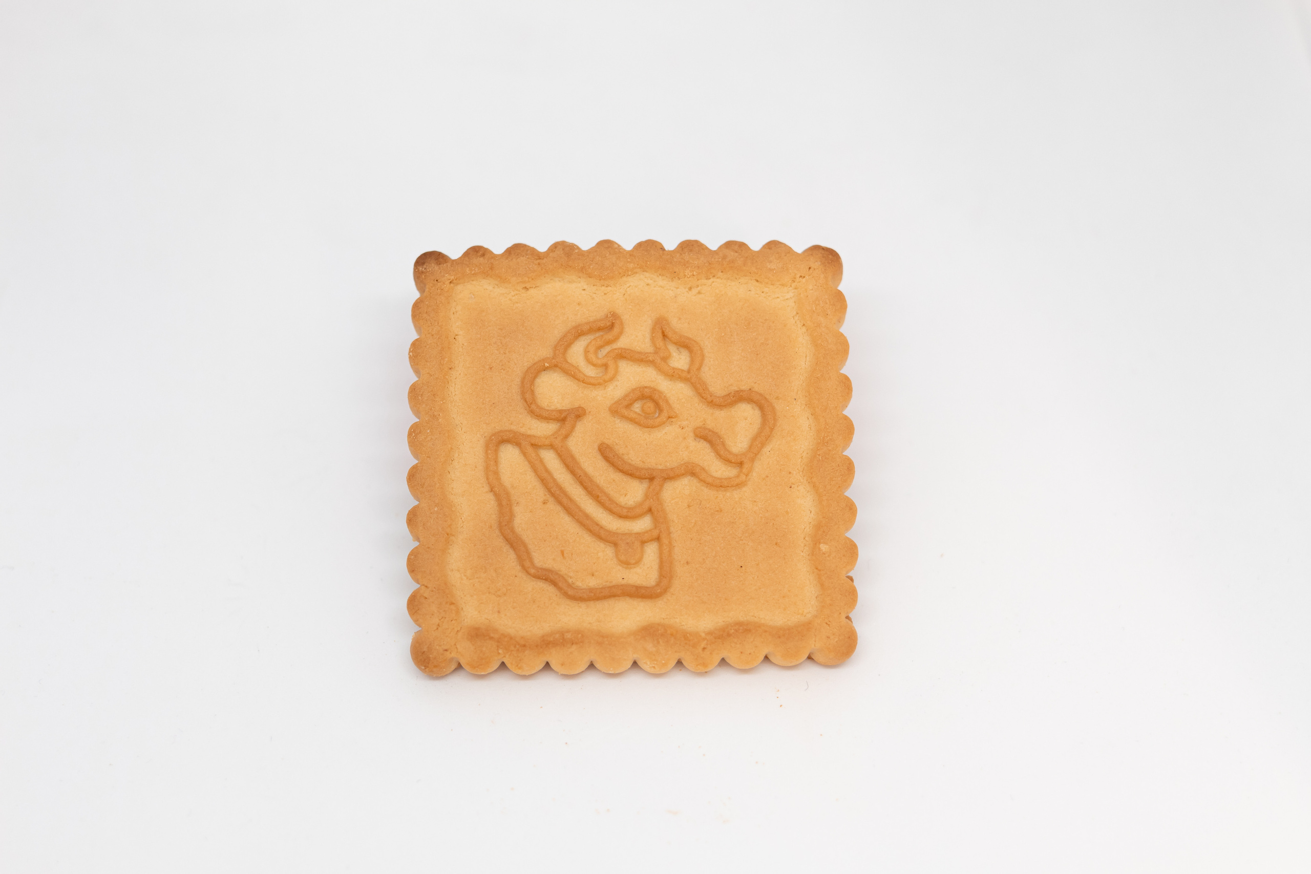 Каталожная фотосъемка без ретуши. Семейный фотограф в Минске Приболовец Светлана