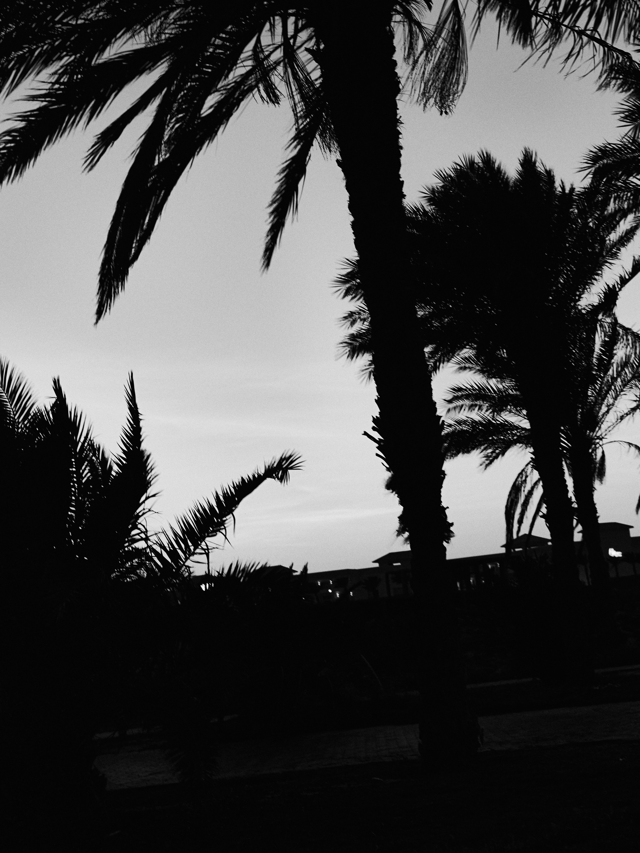 Другое 3. Jorgis Talè — photographer, kind person, teacher of arts and other mag