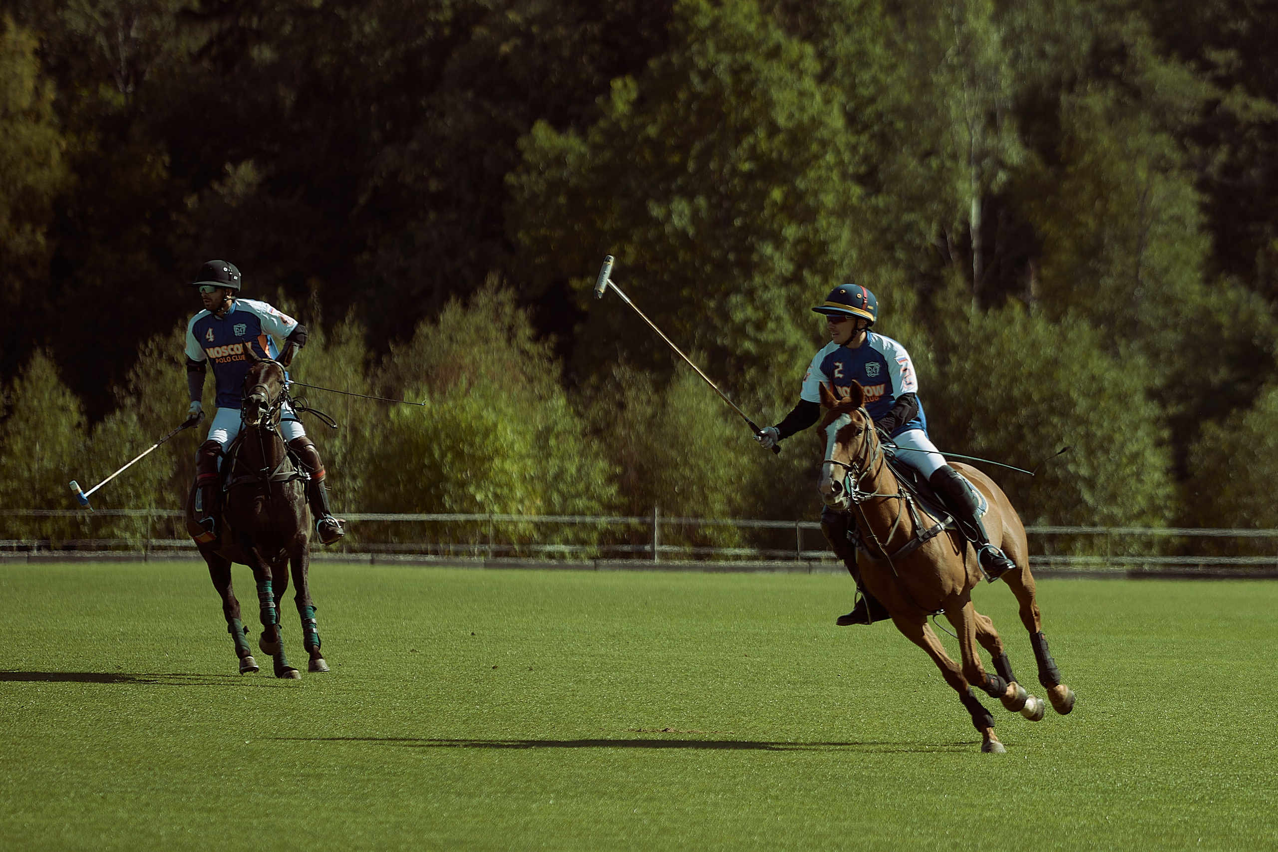HORSE POLO. Фотограф Наталья Леонова