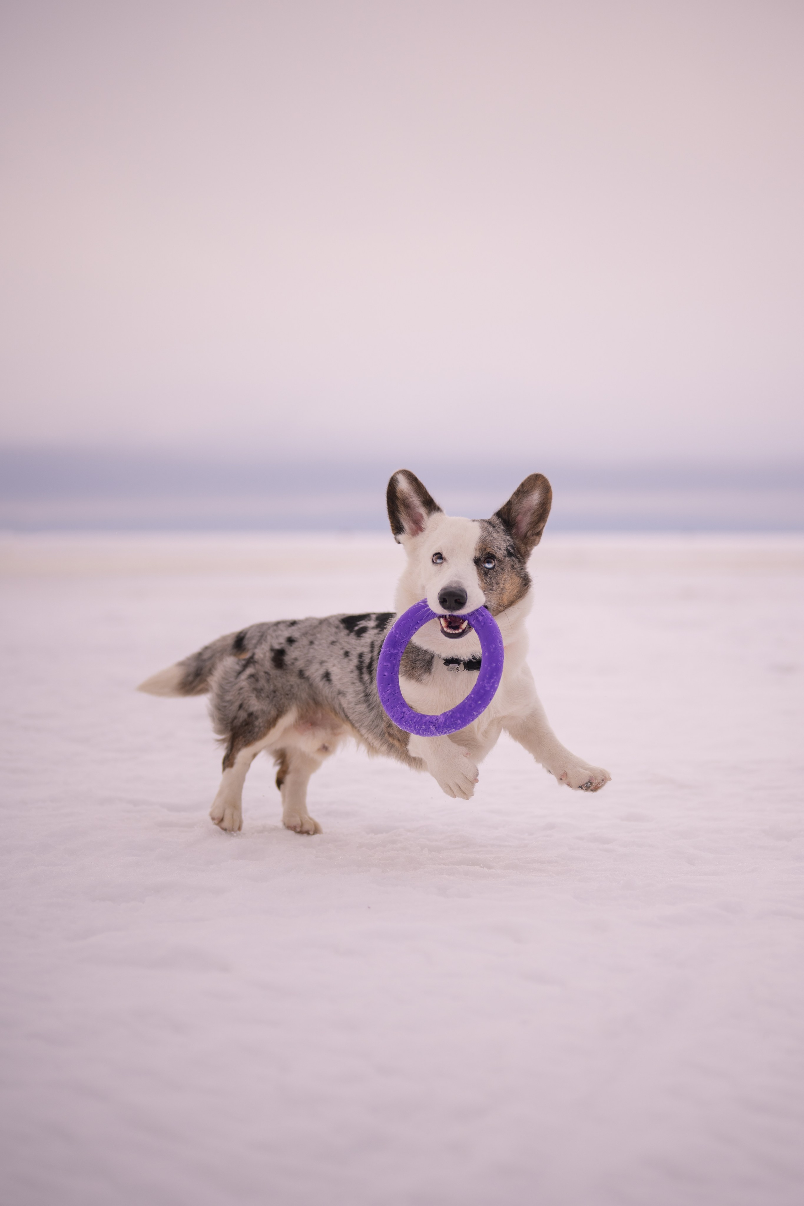 Семейные съемки. Фотограф в Санкт-Петербурге Александра Ладыгина