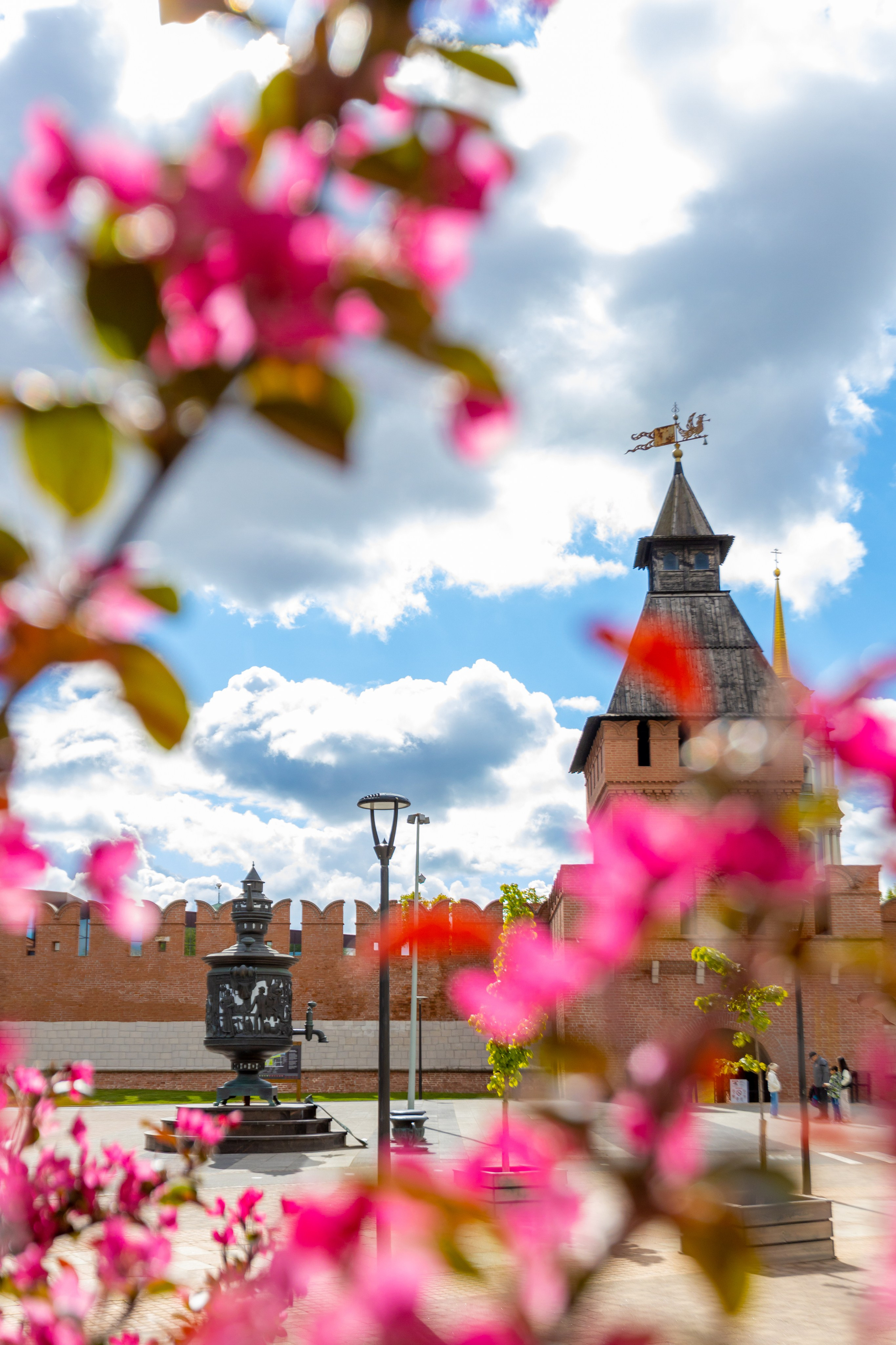 Весеннее цветение в Туле. Фотограф в Туле Крупский АнДРей. Фотостудия «КАДР71» в Туле