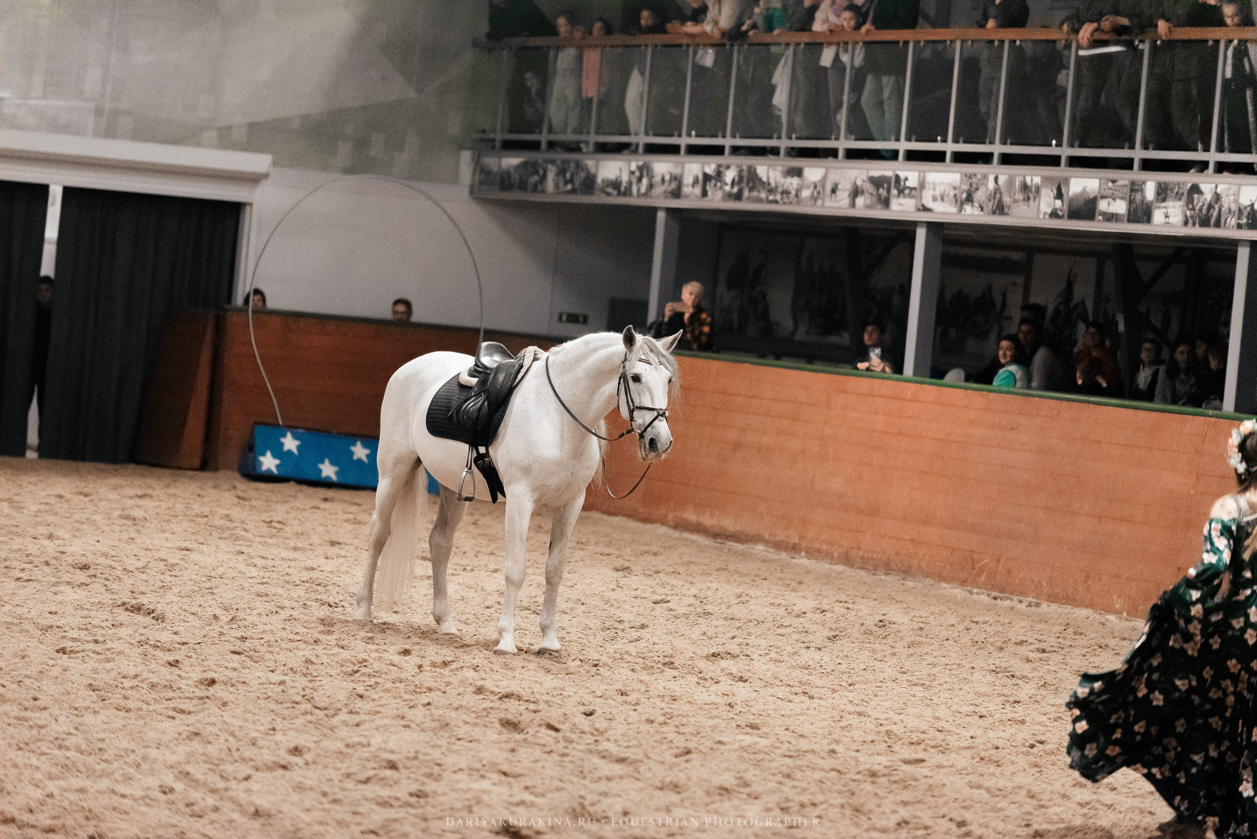 Конное представление «Дыхание Звёзд». Конный фотограф Куракина Дарья • Фотосессии с лошадьми