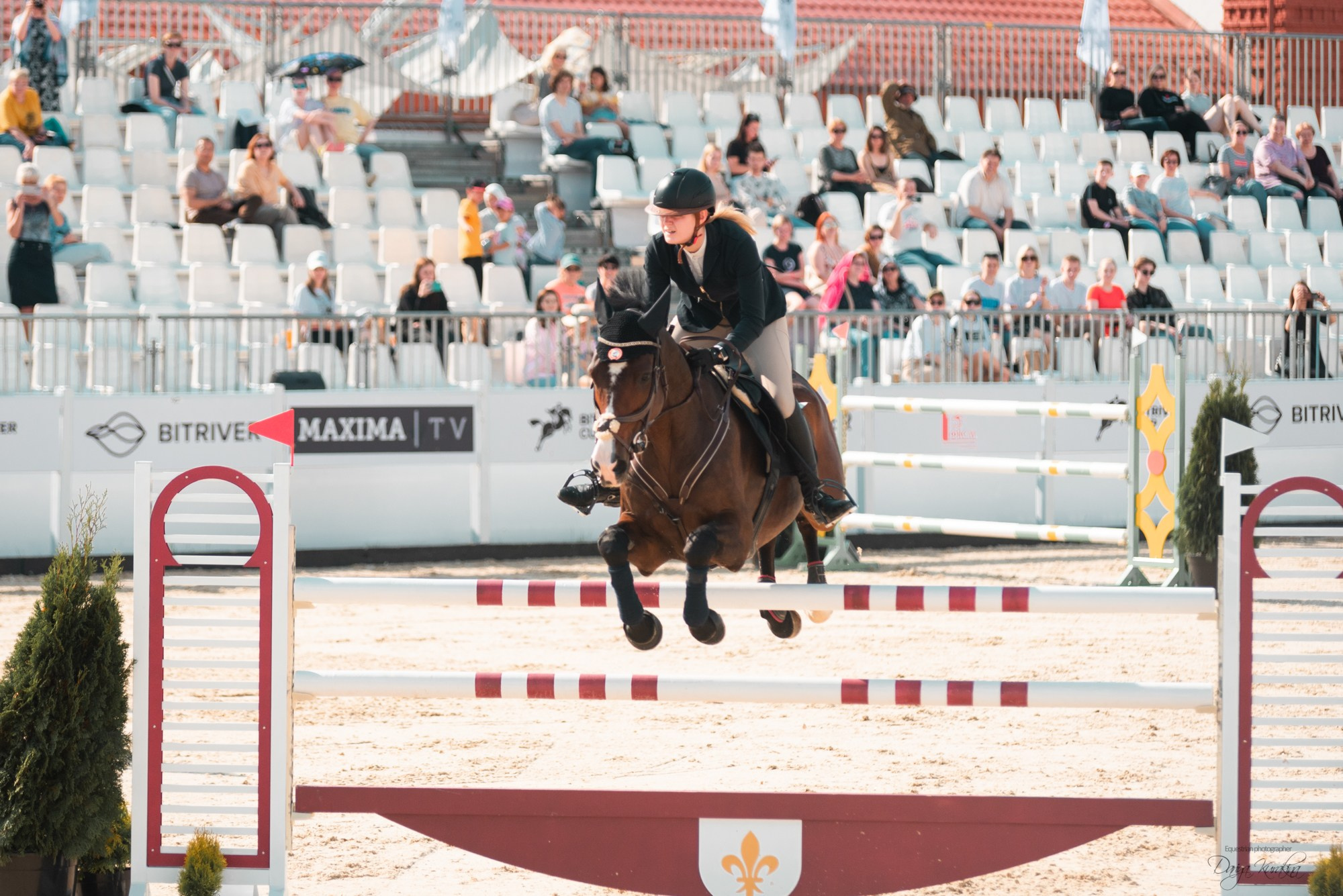 BITRIVER CUP 2023. Конный фотограф Куракина Дарья • Фотосессии с лошадьми