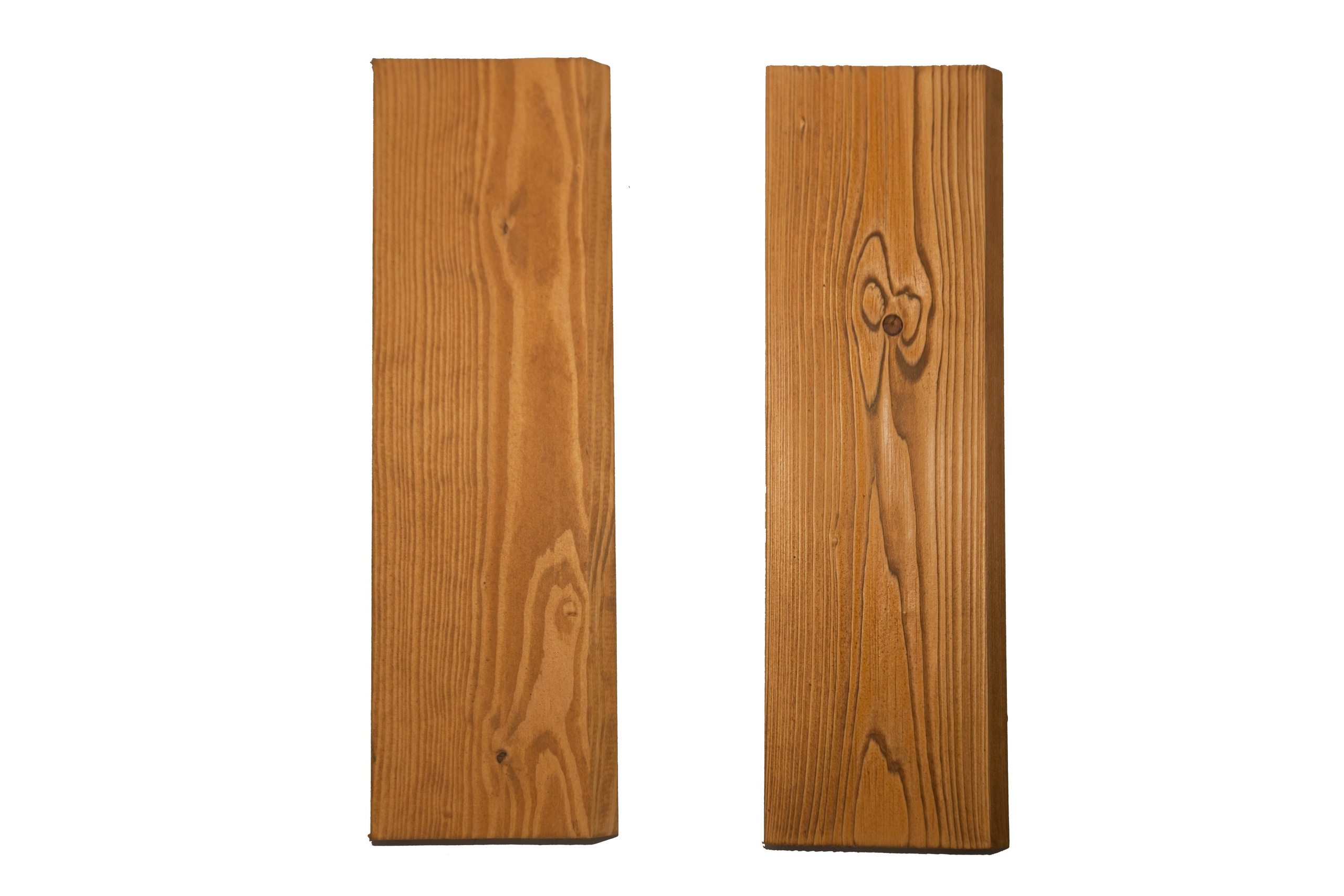 Дерево. Фотограф