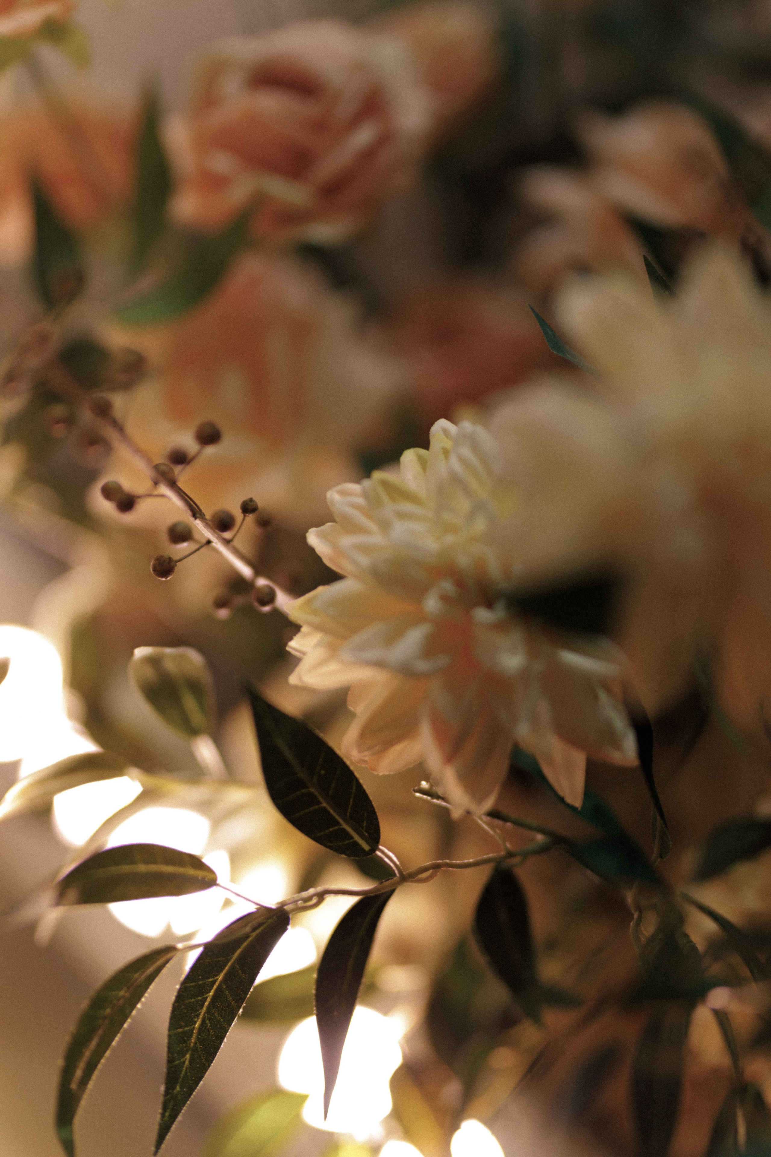 Ласковое «Бубусик». Свадебный фотограф в Краснодаре Елизавета Горшенёва