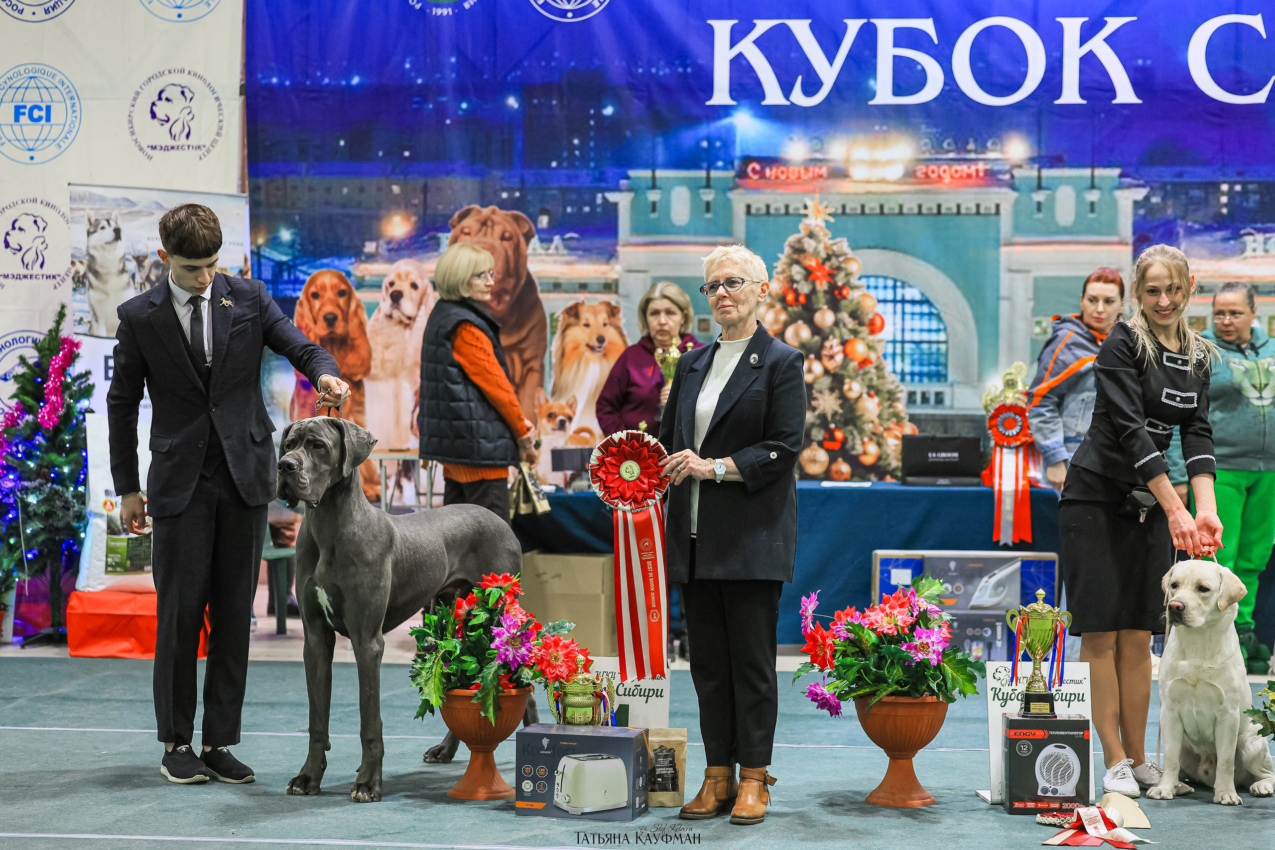 6-7.12.25 — 1-4 Национальные выставки собак в Новосибирске (2х рейтинговые). Фотограф Анималист из Новосибирска Татьяна Кауфман