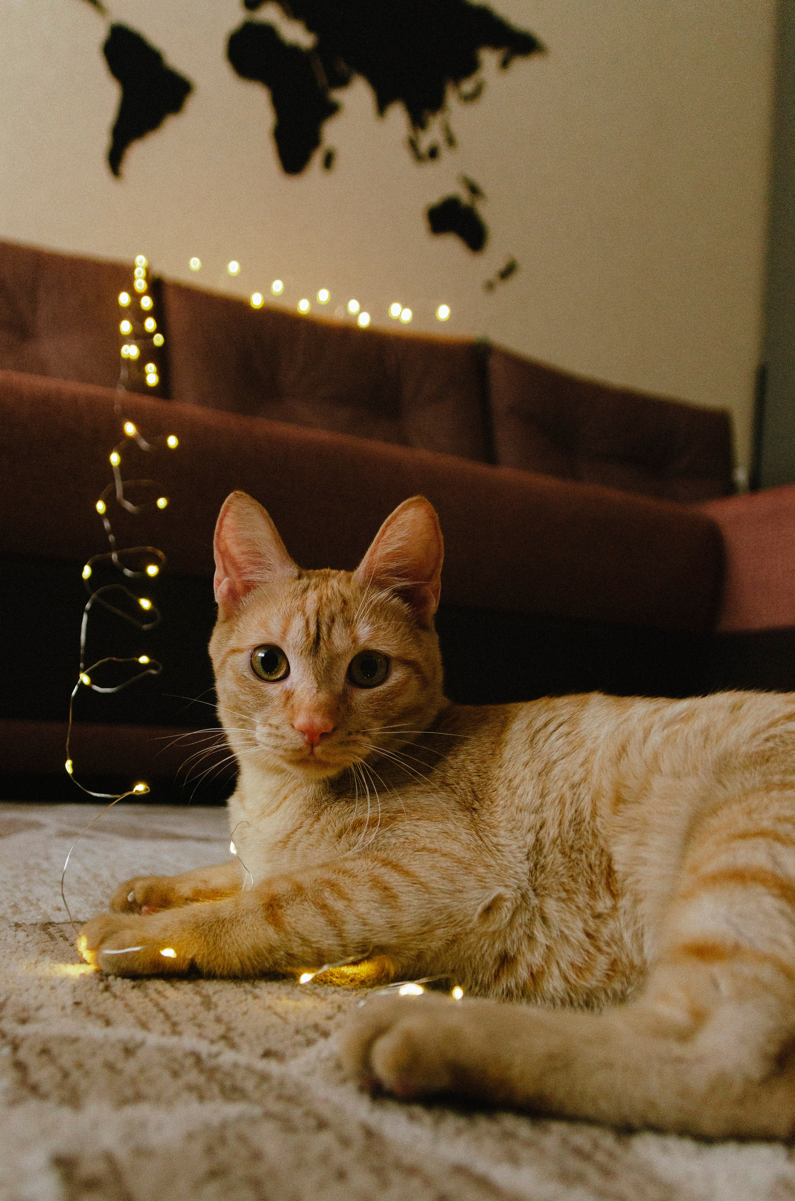 Домашняя уютная история. Lifestyle семейный и детский фотограф в Омске Иванова Екатерина