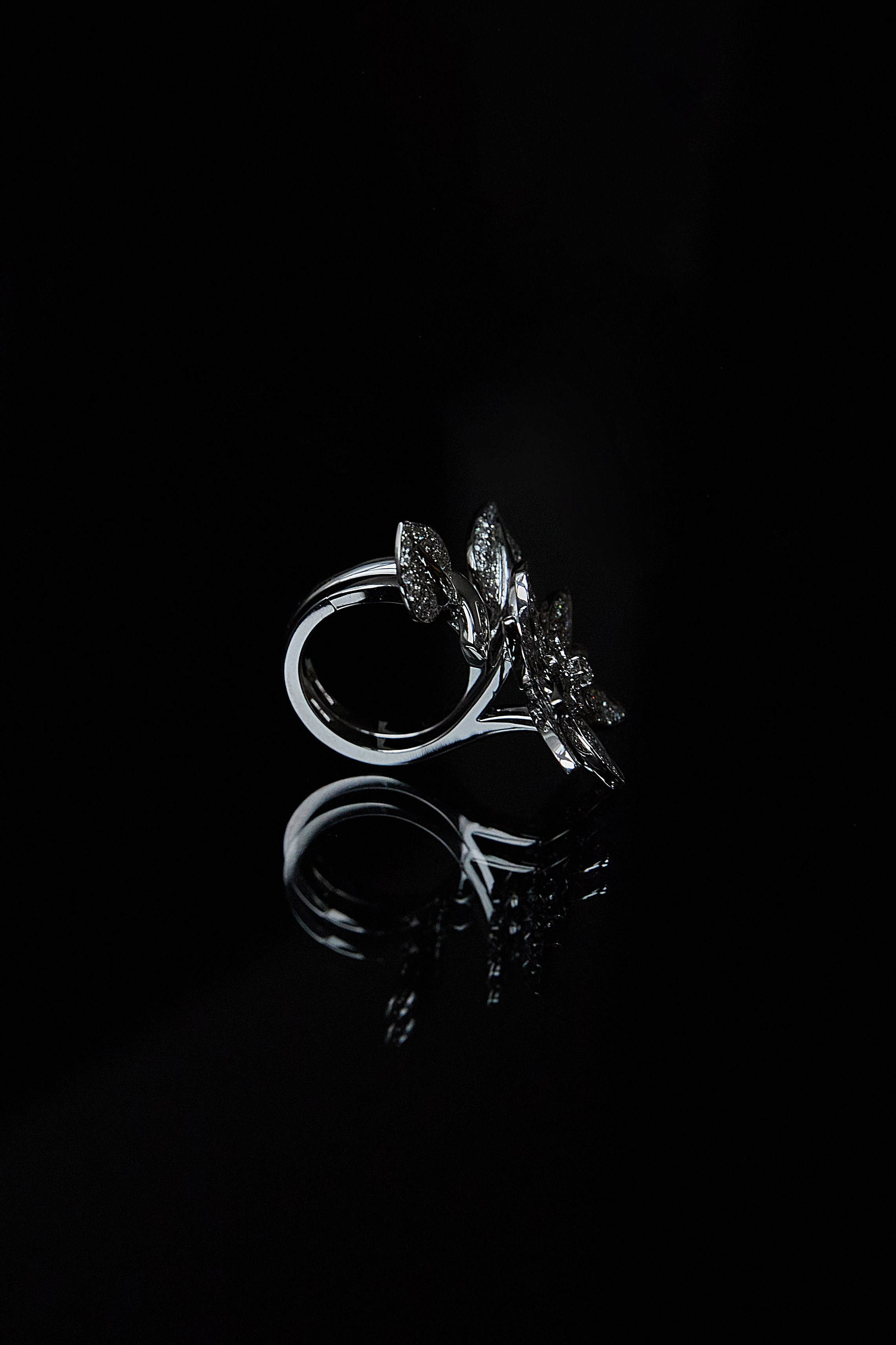 Ювелирные украшения. Фотограф