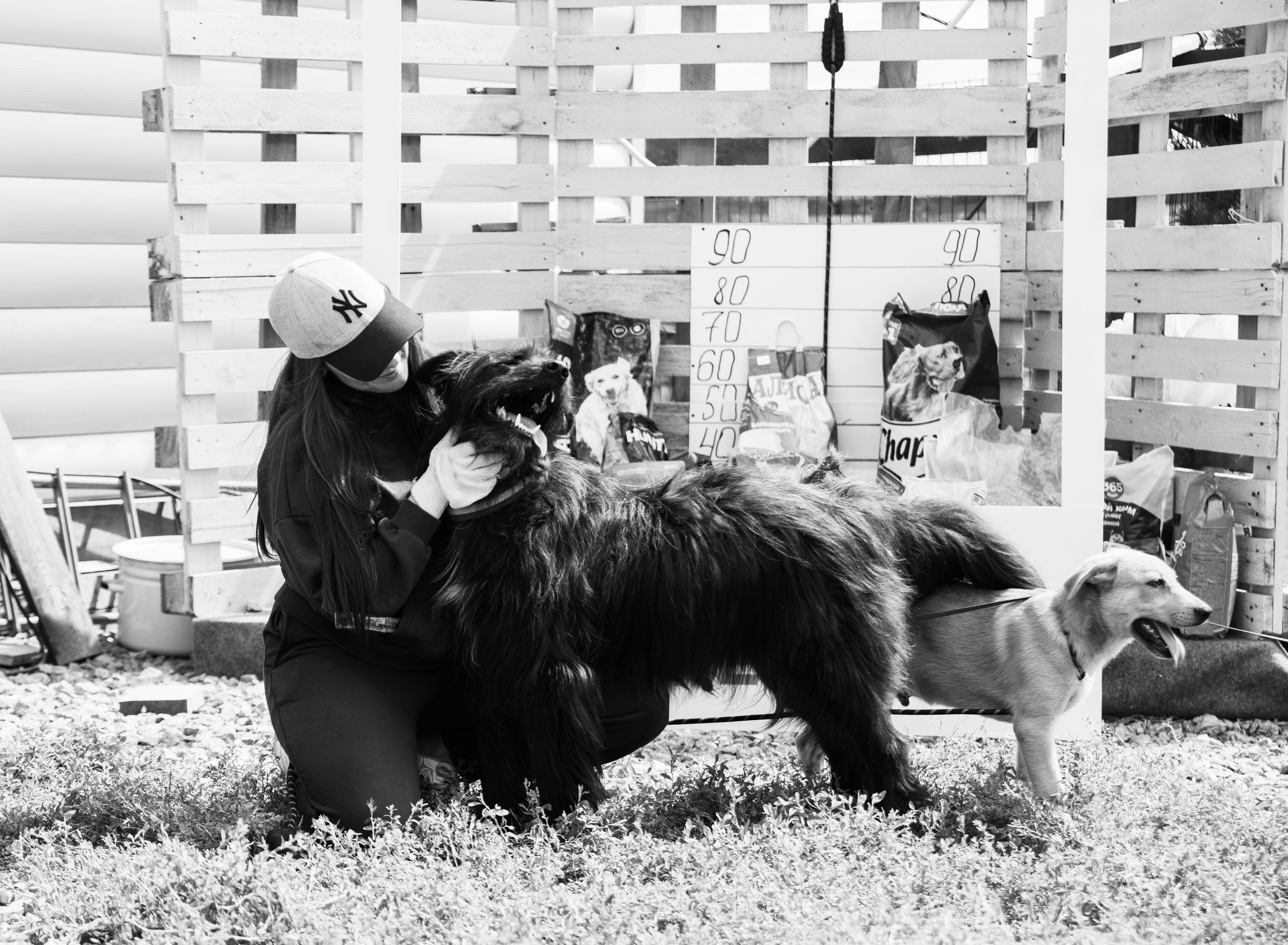 Приют — Наш дом. Репортажный и свадебный фотограф в Челябинске Елисеев Павел