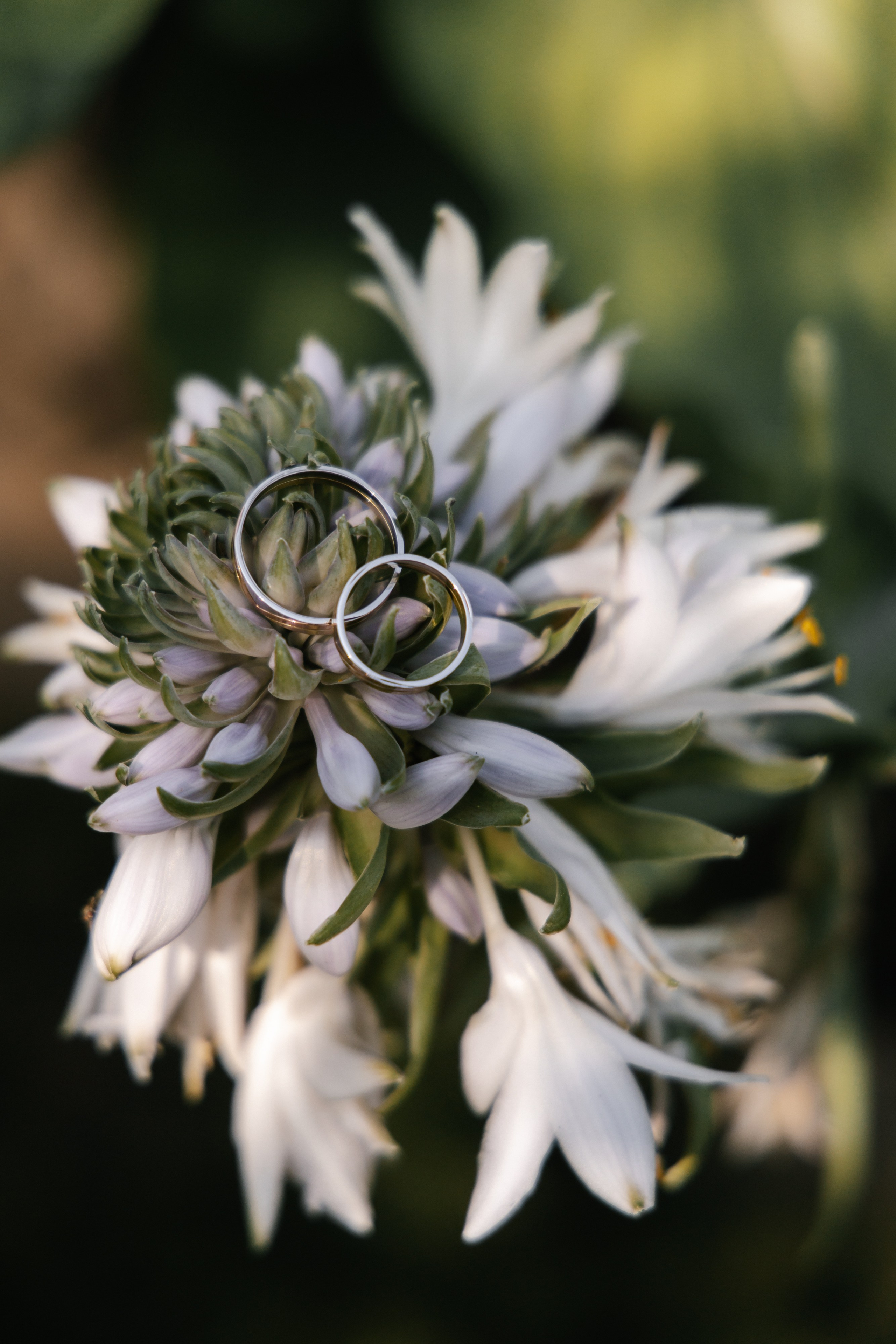 Алёна и Денис (полный день). Фотограф в Барнауле Юлия Садвокасова