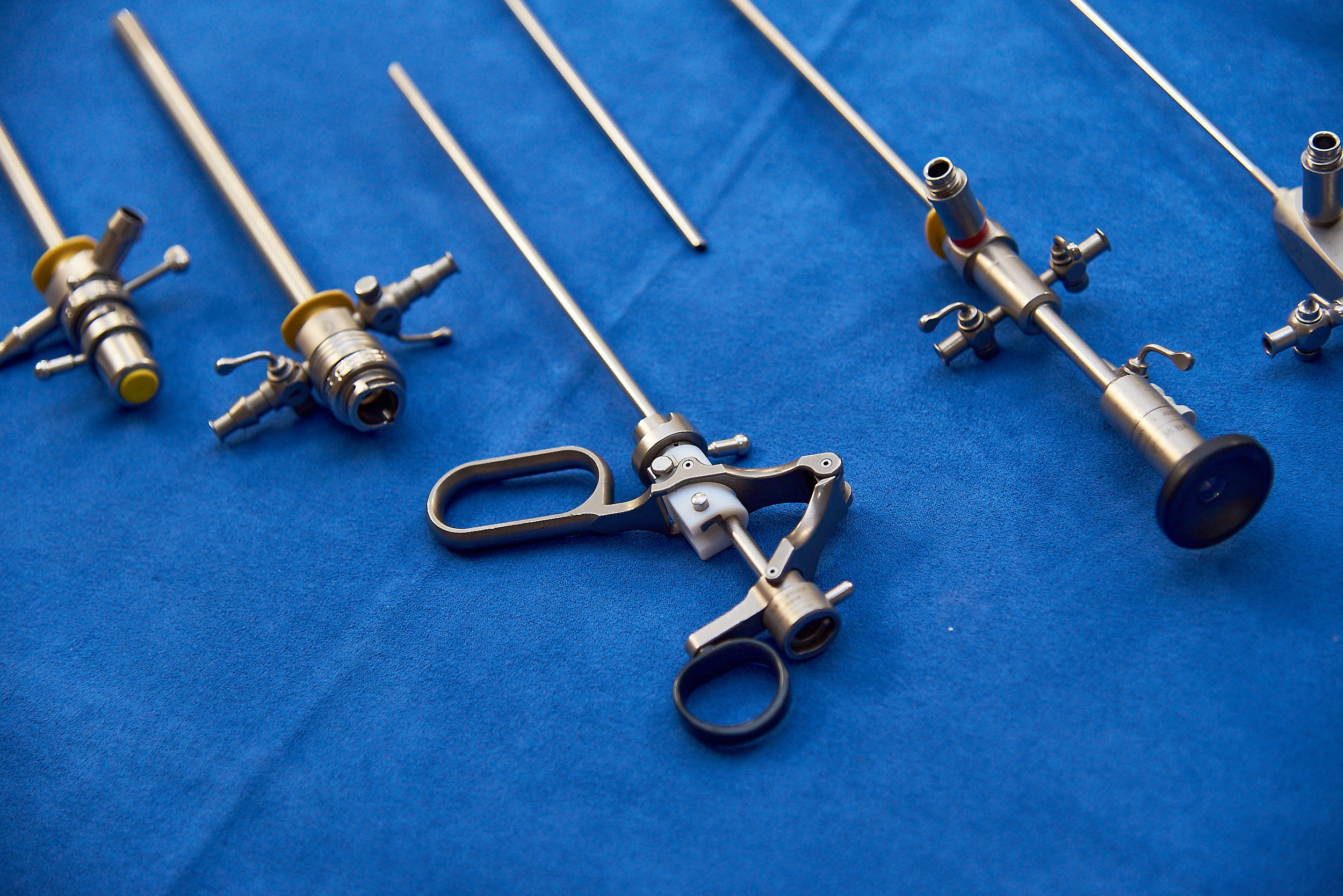 Репортаж научной конференции в Барнауле. Фотограф Опыт Качество Скорость Горный Алтай Барнаул