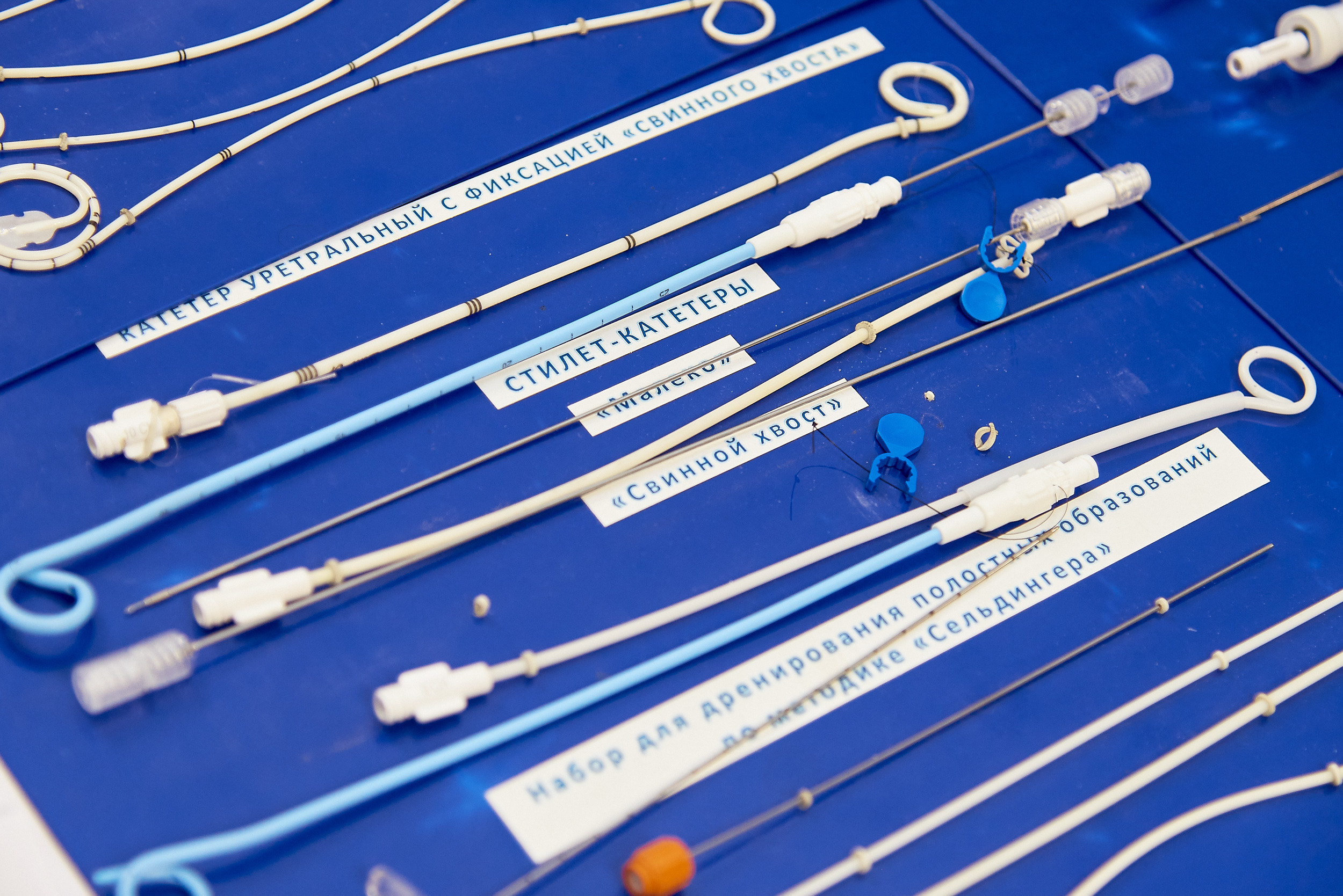 Репортаж научной конференции в Барнауле. Фотограф Опыт Качество Скорость Горный Алтай Барнаул