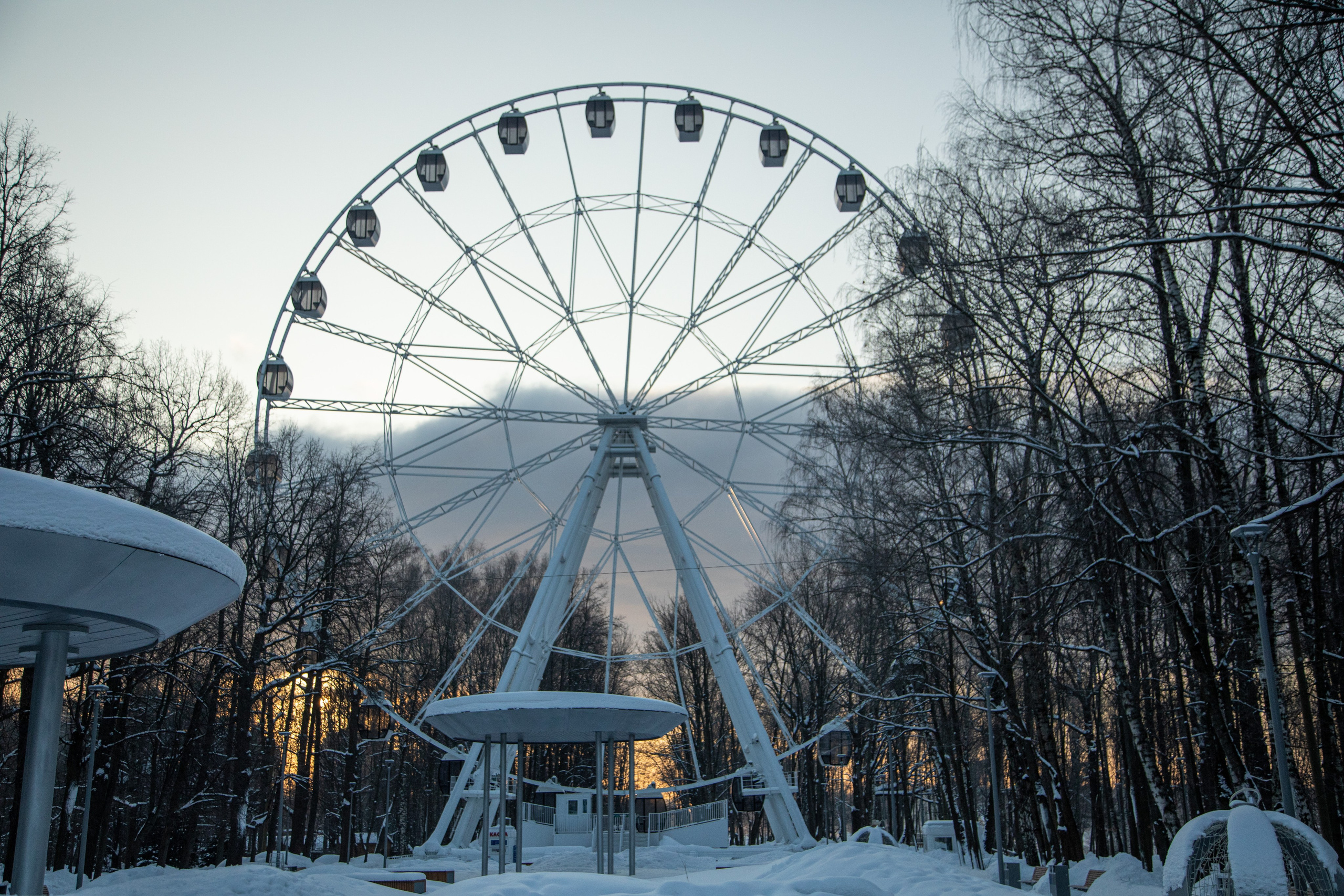 5 вёрст Химки, 90 забег, 10 февраля 2024 г. Фотограф Сергей Ловкий