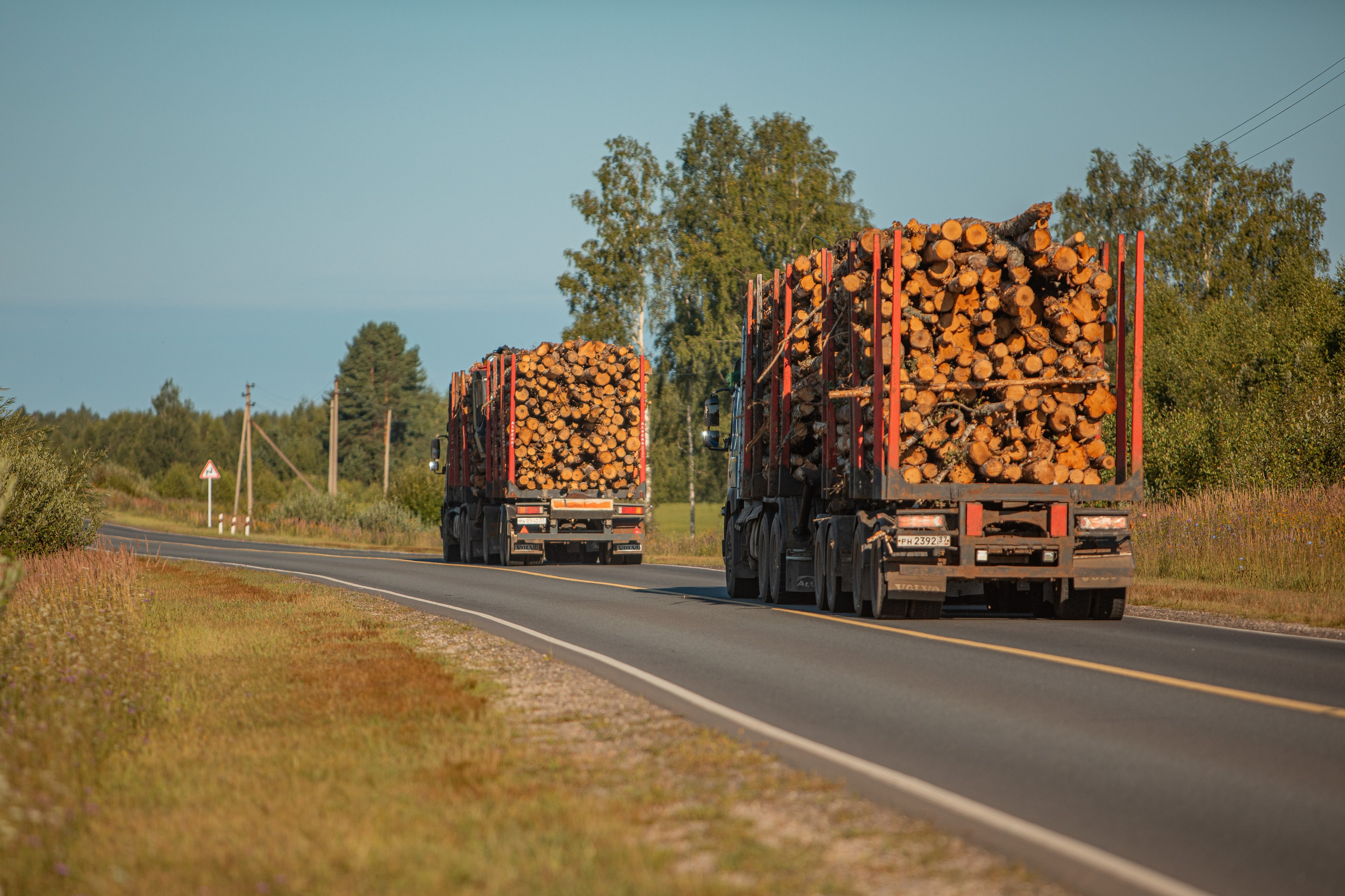 Про жизнь. Фотограф Сергей Ловкий
