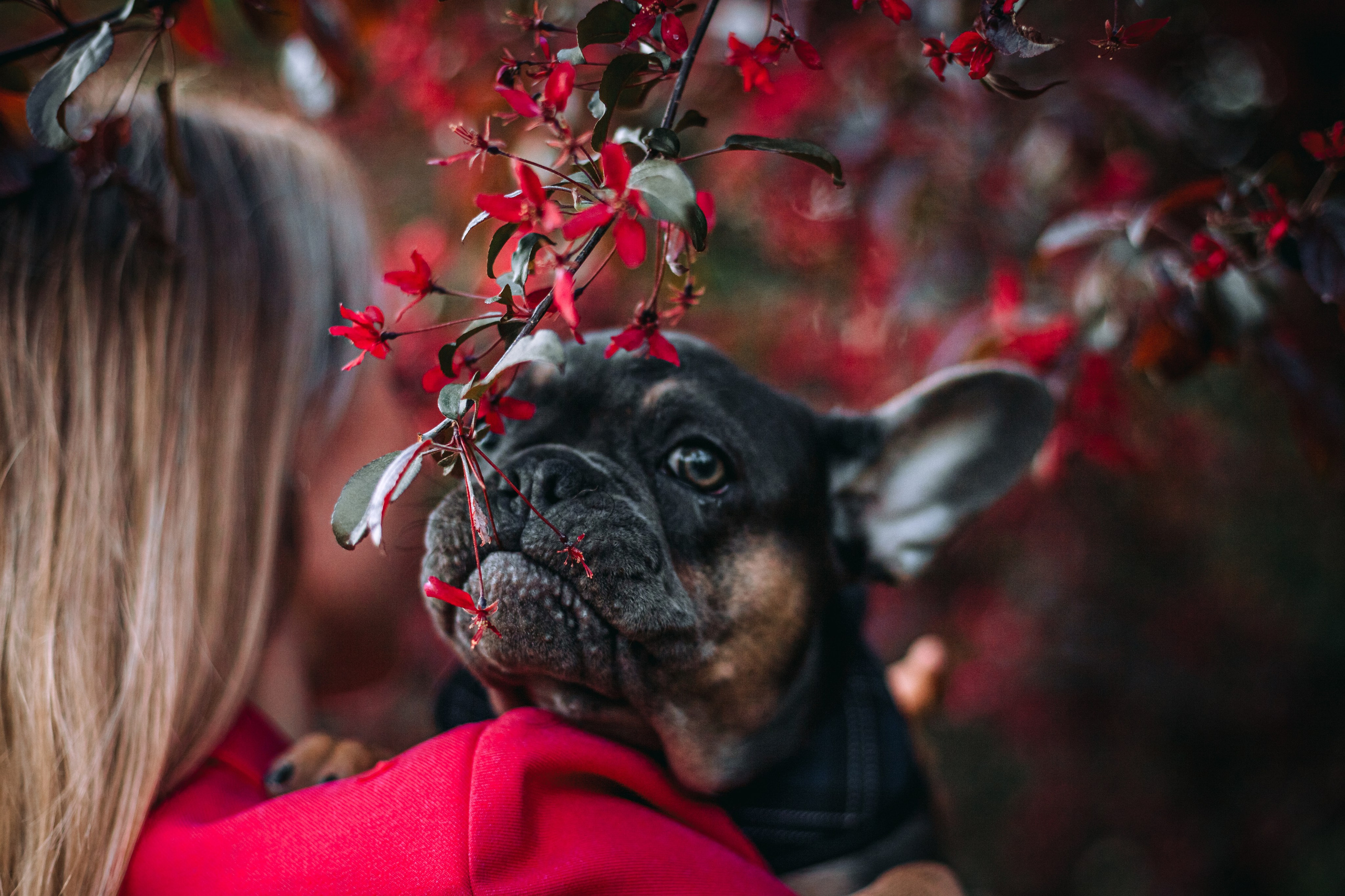 Даша и Мишель. Фотограф-анималист Татьяна Степанова