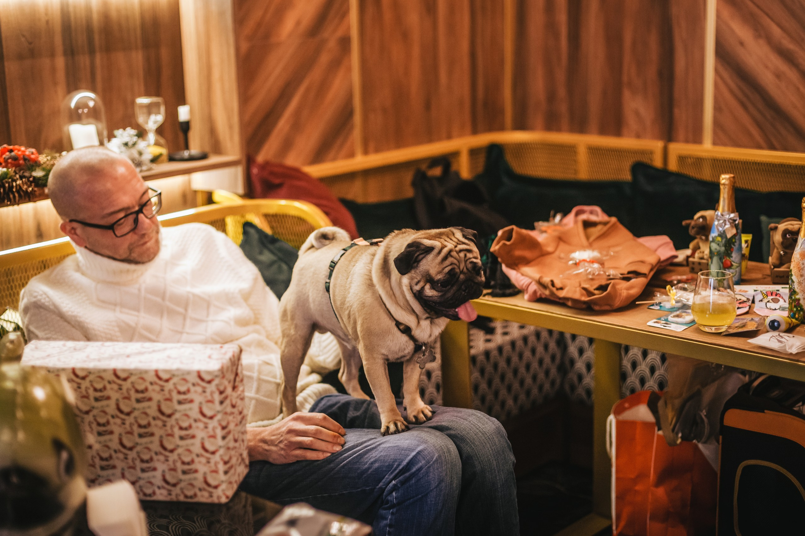 Мопсовстреча 02.12.2023. Фотограф-анималист Татьяна Степанова