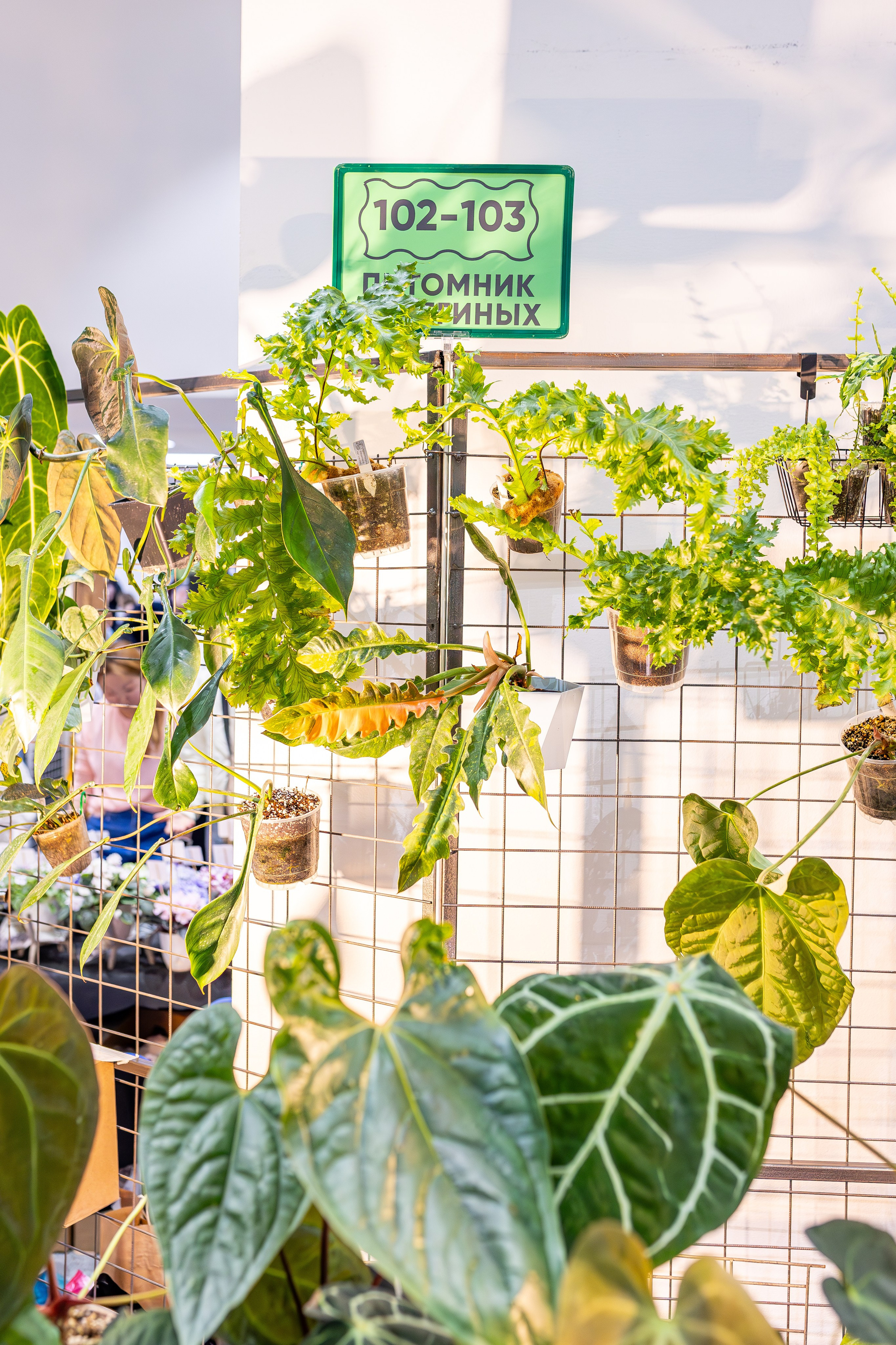 Монстериум апрель 2026. Александра Куликова фотограф, Москва