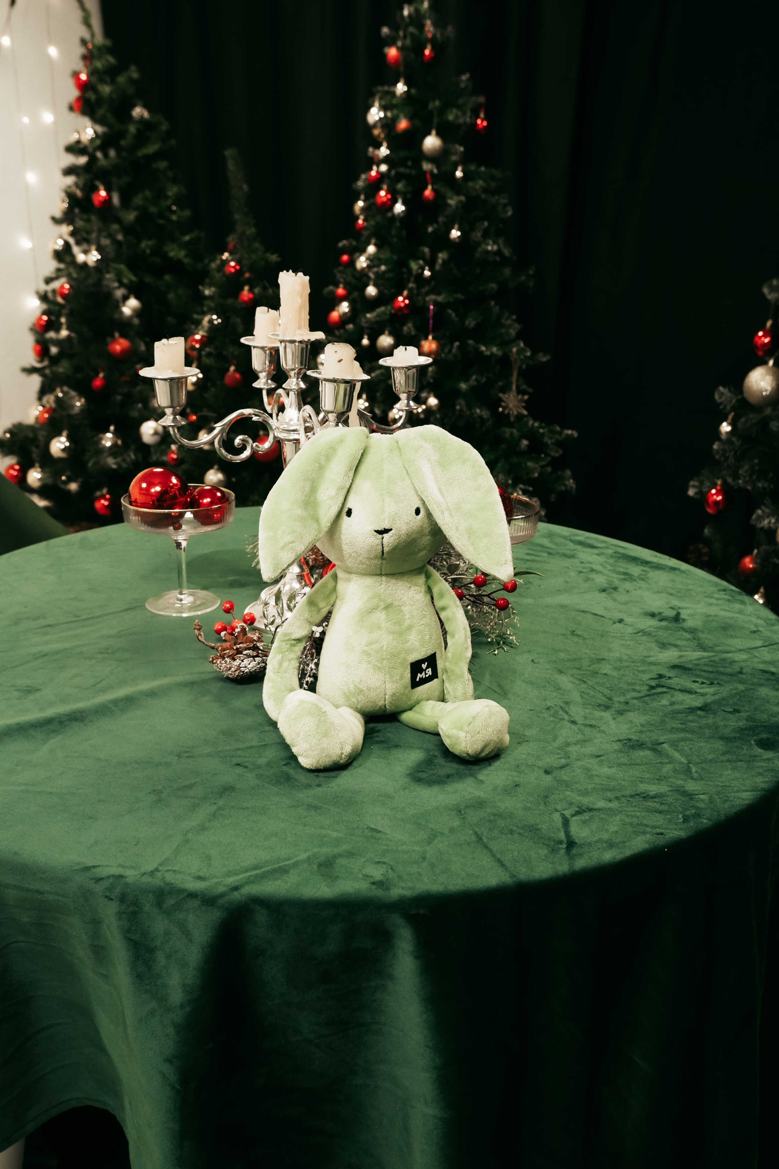 Артём и Татьяна. Лена Фокина | Фотограф Смоленск