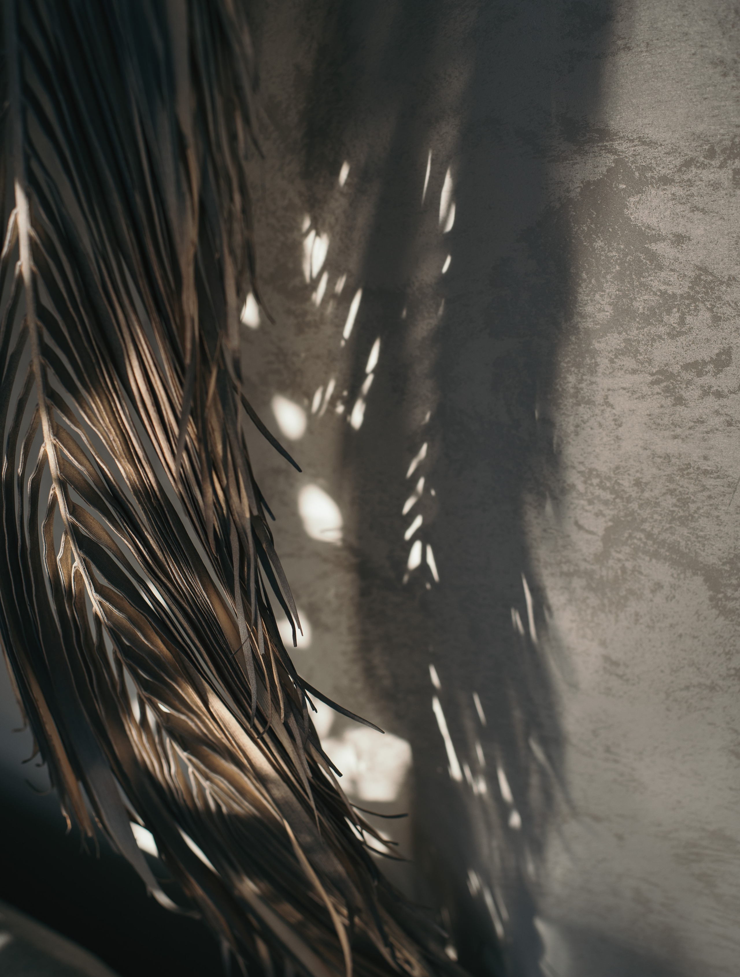 Портфолио. Ваш фотограф Алёна Маркова