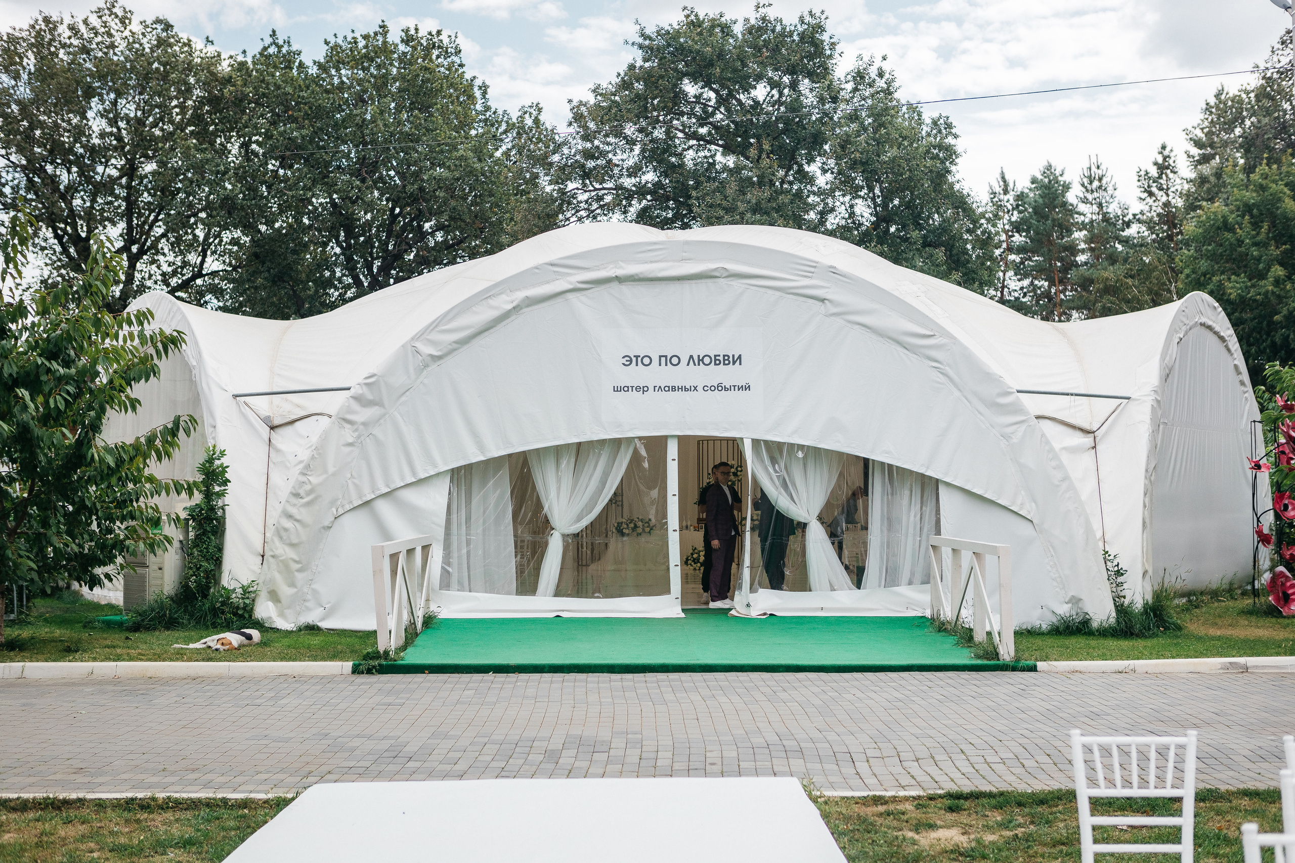 Свадебный день Андрея и Елены. Дубовая Роща. Семейный и свадебный фотограф в Волгограде Мария Богданова