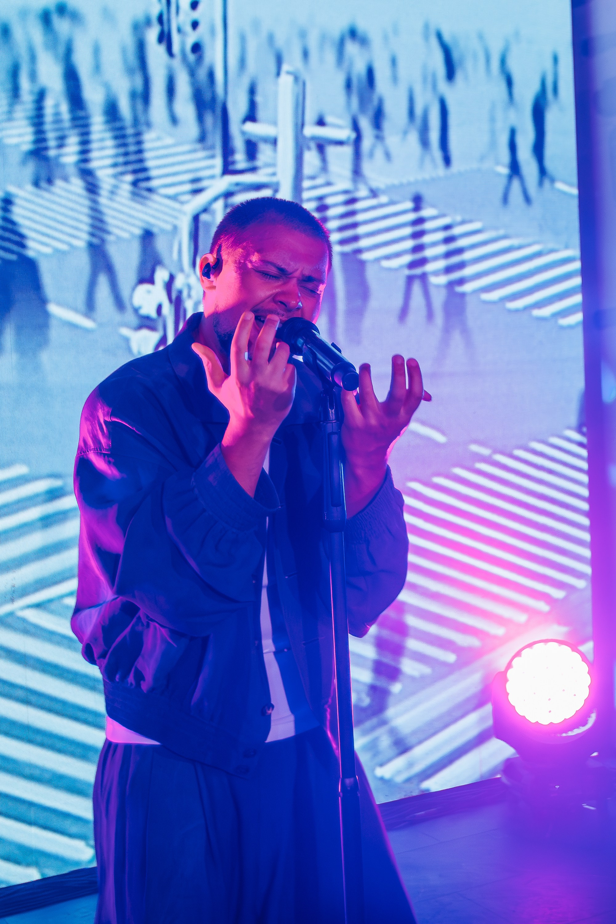 «LYRIQ"_Чайка на пляже_Ялта_15.08.2025 г. Аминов Руслан | Фотограф