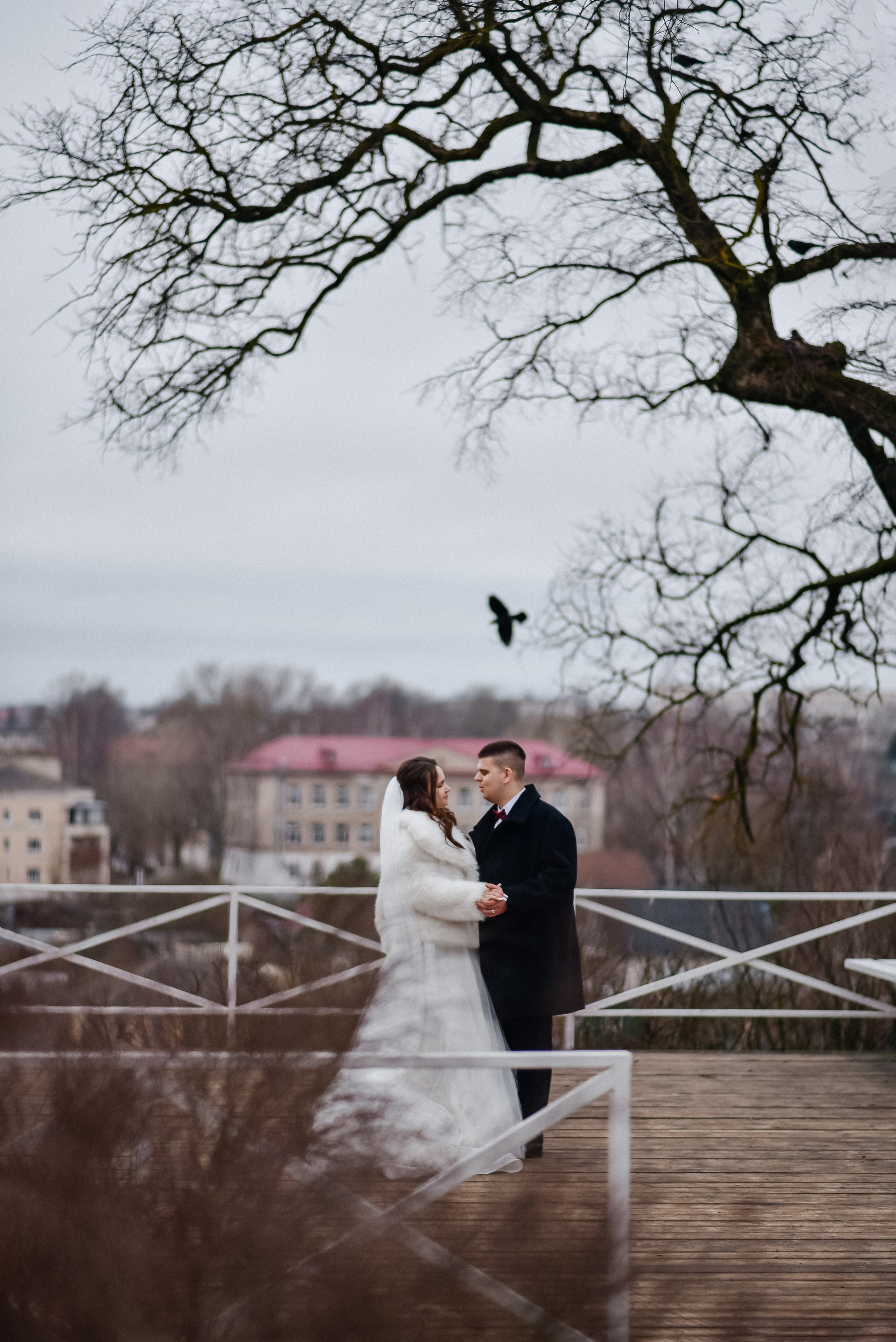 Роман и Виктория. Свадебный и портретный фотограф lifestyle