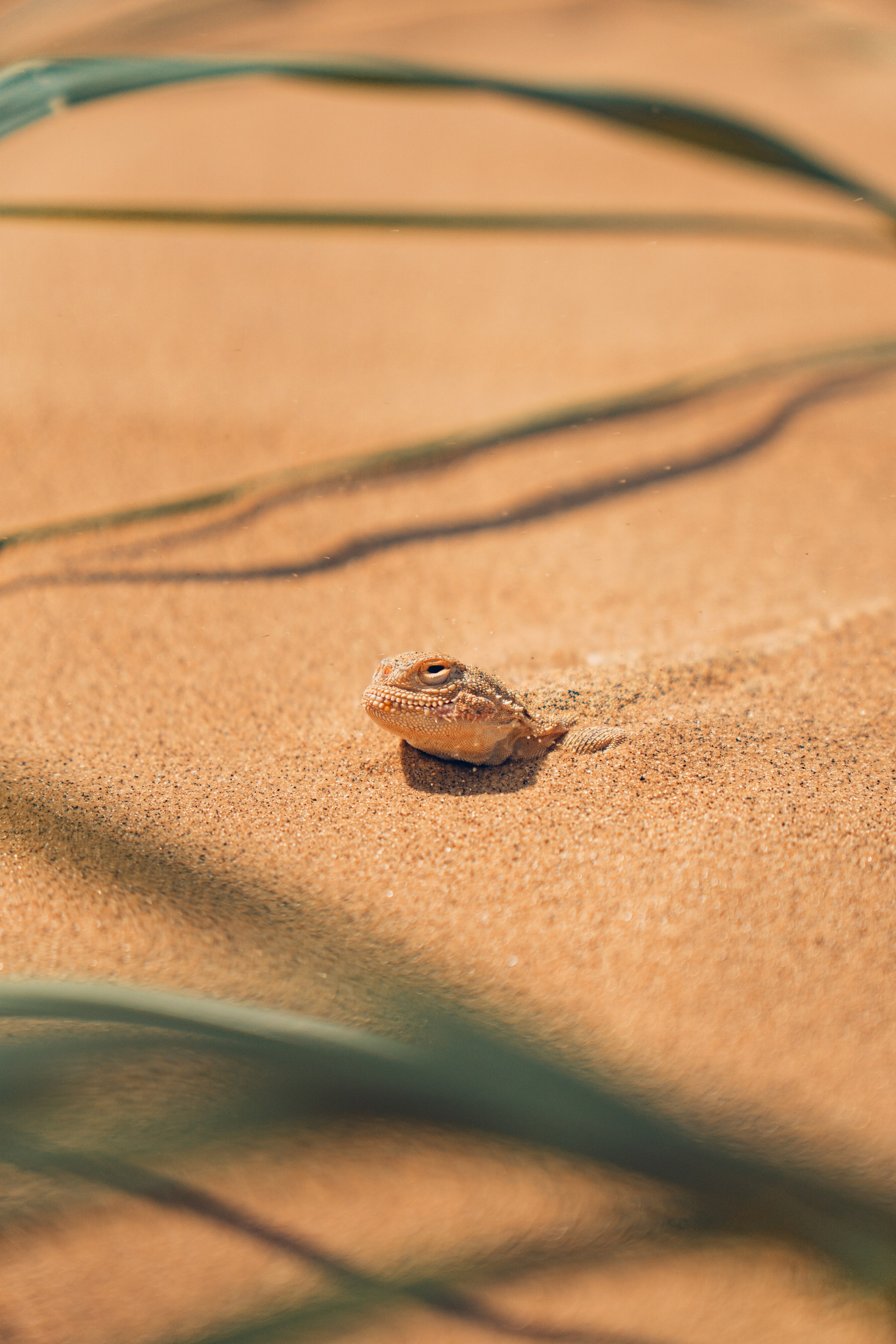 Дагестан. Gusarov Travel Photography