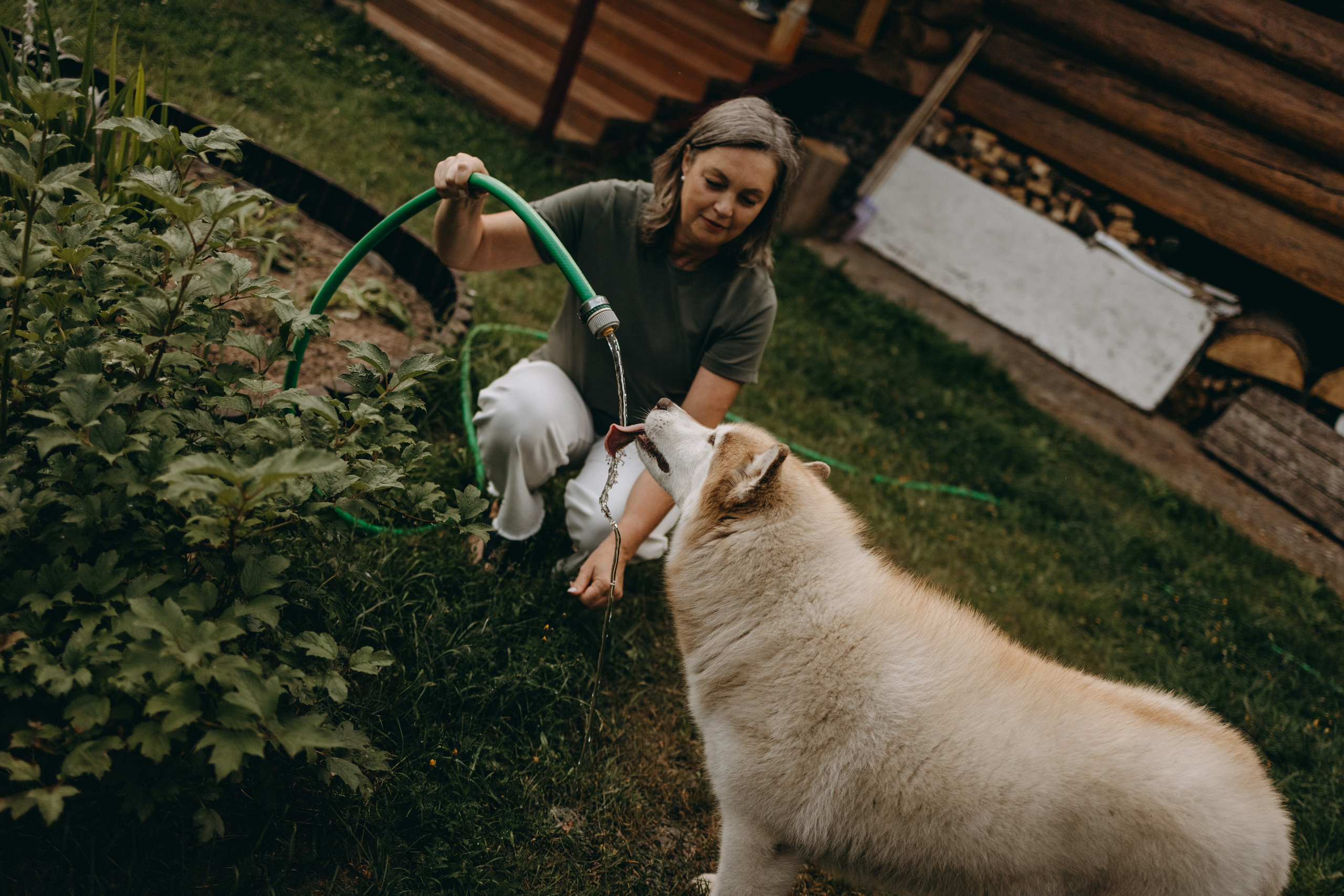 Дом у реки. Фотограф — Анималист | Санкт-Петербург